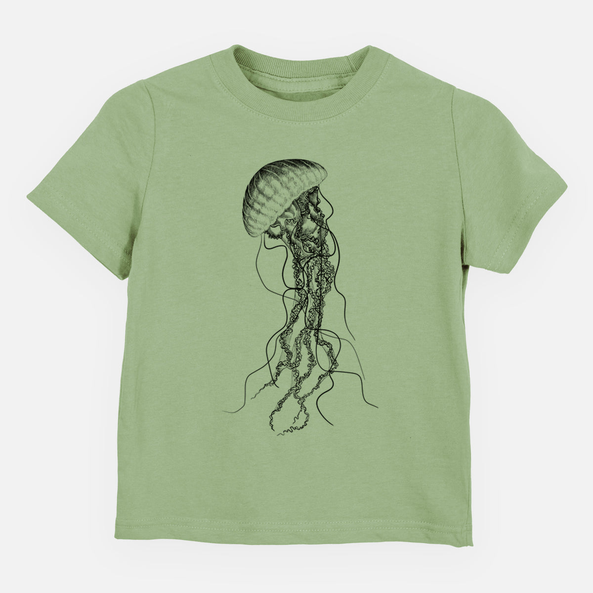 Sage green toddler t-shirt laid flat, printed with a black ink illustration of a black sea nettle jellyfish with long trailing tentacles.