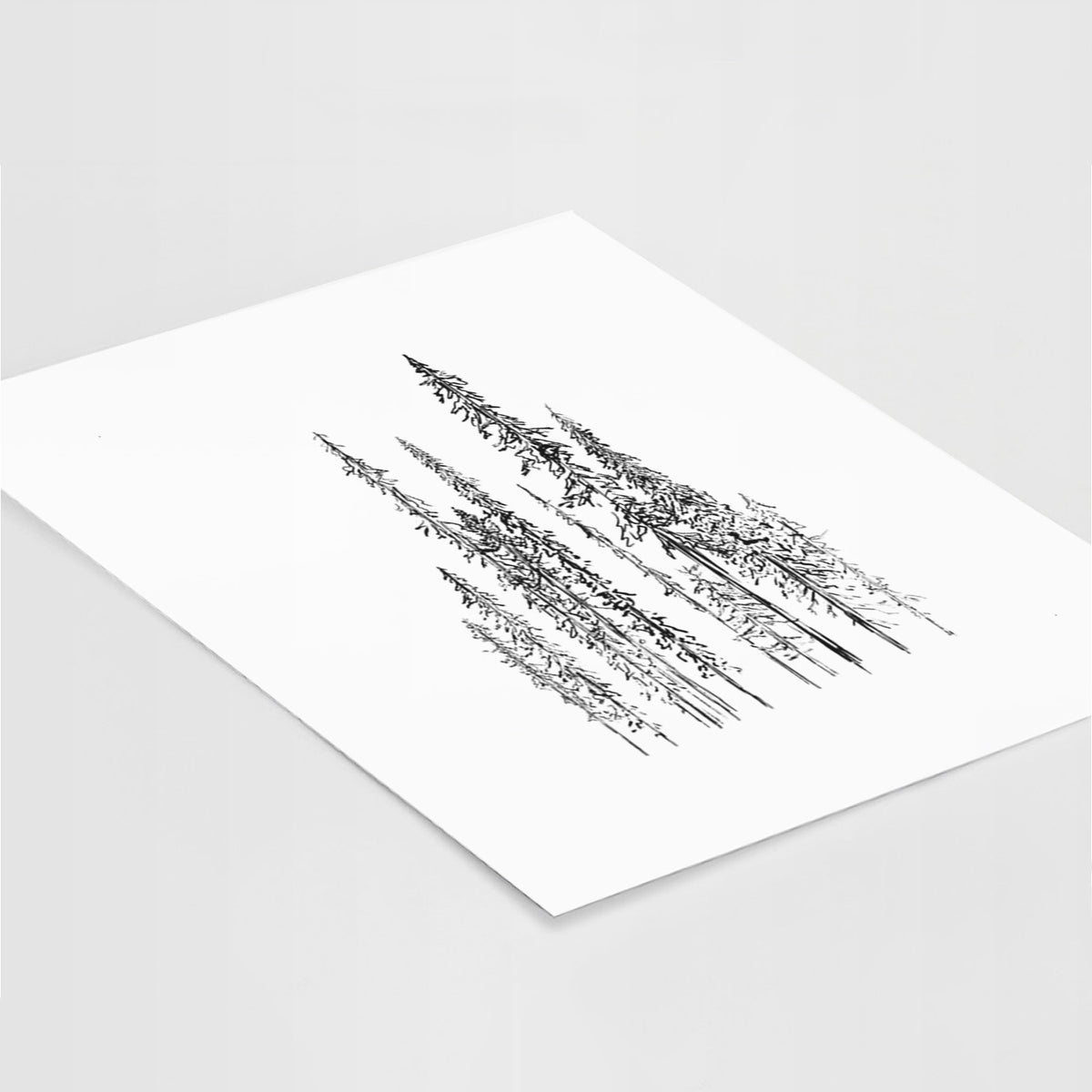 Art print of a black ink illustration of a stand of tall, narrow black spruce trees, lying at an angle on a white surface.