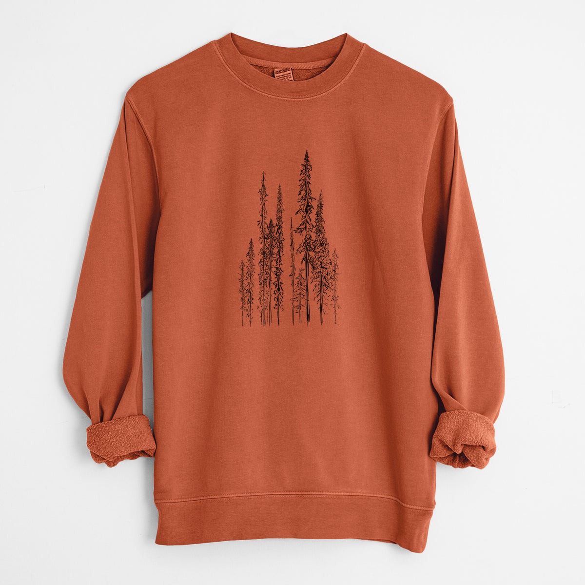 Black Spruce (Picea mariana) - Unisex Pigment Dyed Crew Sweatshirt in Amber
