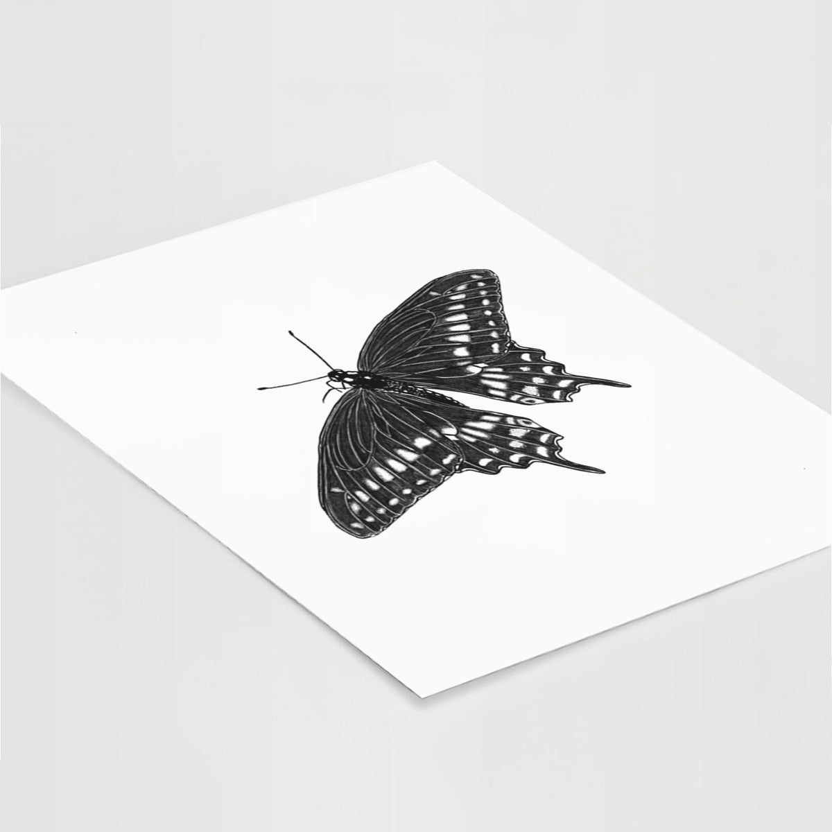 Art print of a detailed black ink illustration of a black swallowtail butterfly with its wings spread, lying at an angle on a white surface.