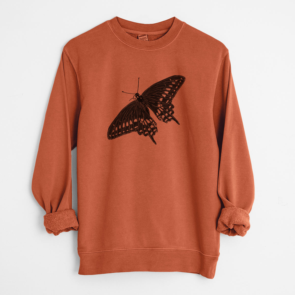 Black Swallowtail Butterfly - Papilio polyxenes - Unisex Pigment Dyed Crew Sweatshirt in Amber
