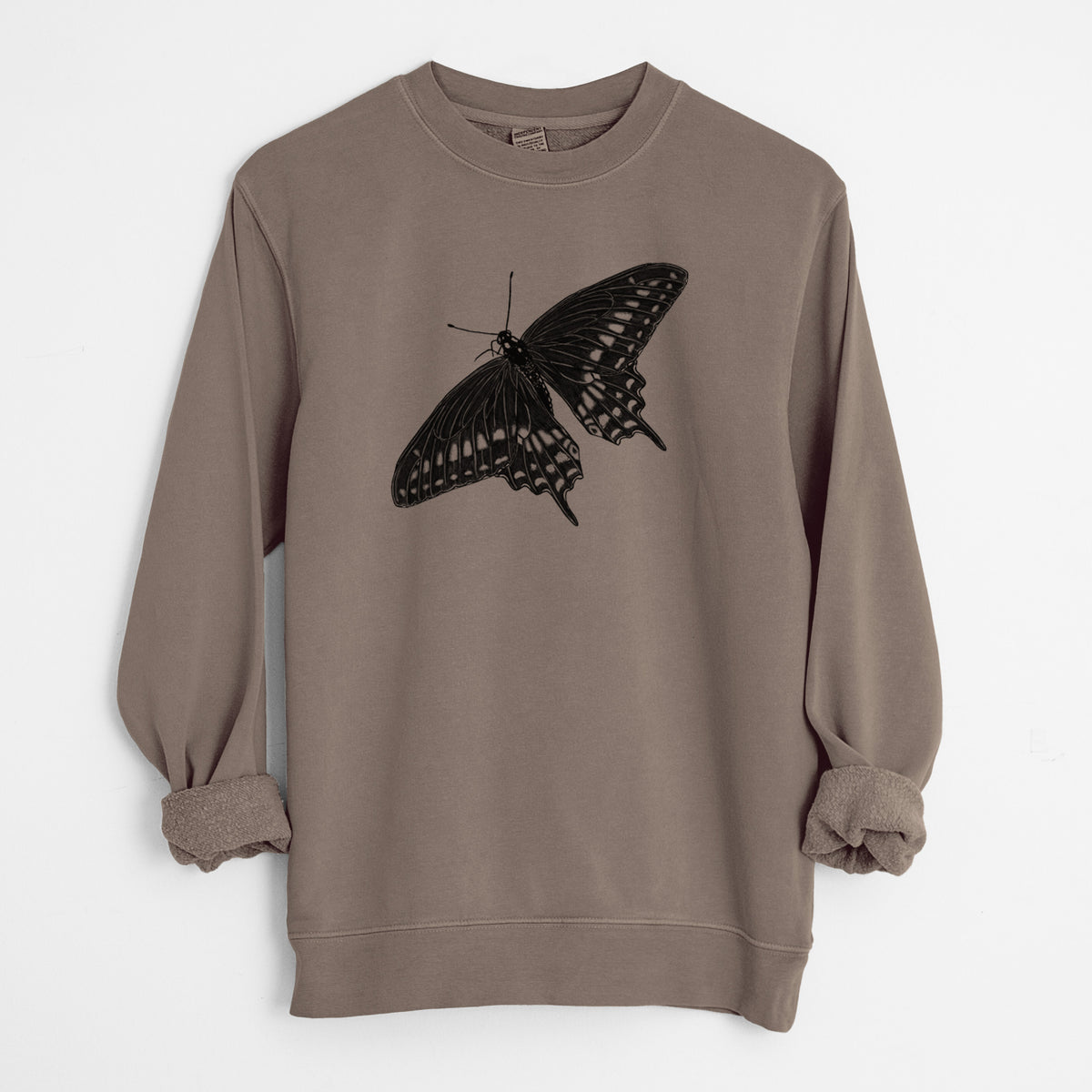 Black Swallowtail Butterfly - Papilio polyxenes - Unisex Pigment Dyed Crew Sweatshirt in Espresso Brown Color