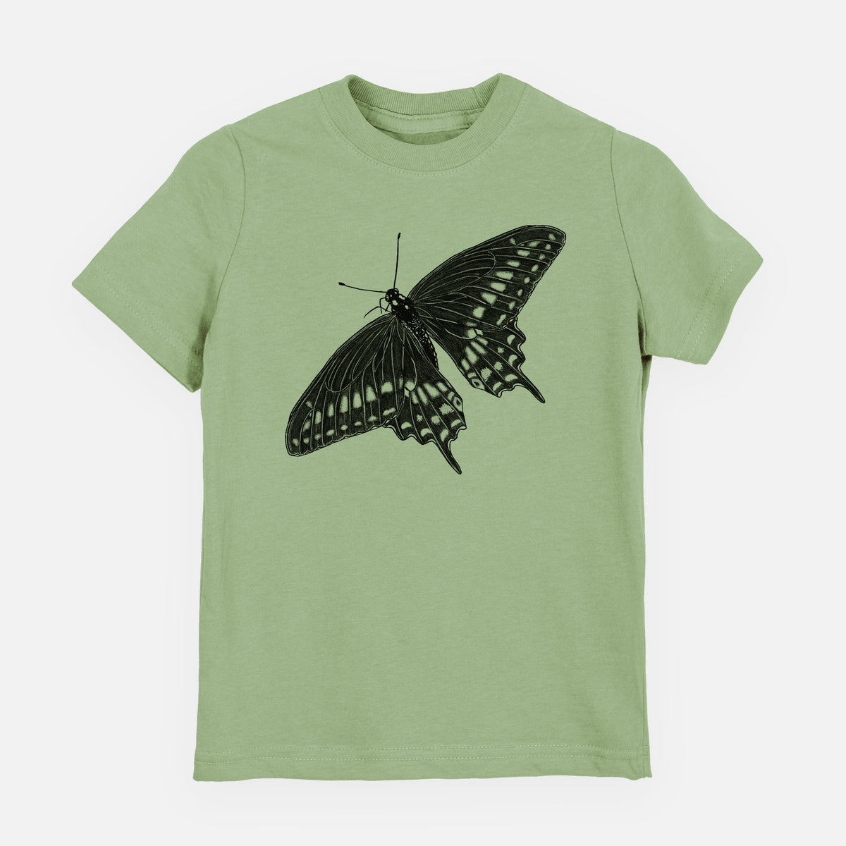 Sage green youth t-shirt laid flat, printed with a detailed black ink illustration of a black swallowtail butterfly with its wings spread.