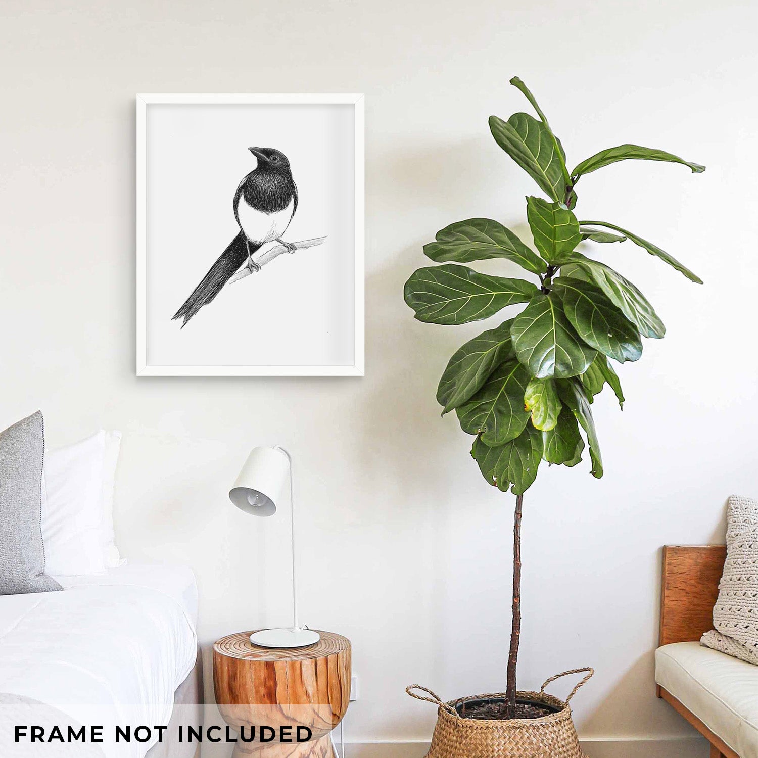 Art print of a detailed black ink sketch of a black-billed magpie perched on a branch with its long tail, shown with eucalyptus leaves.