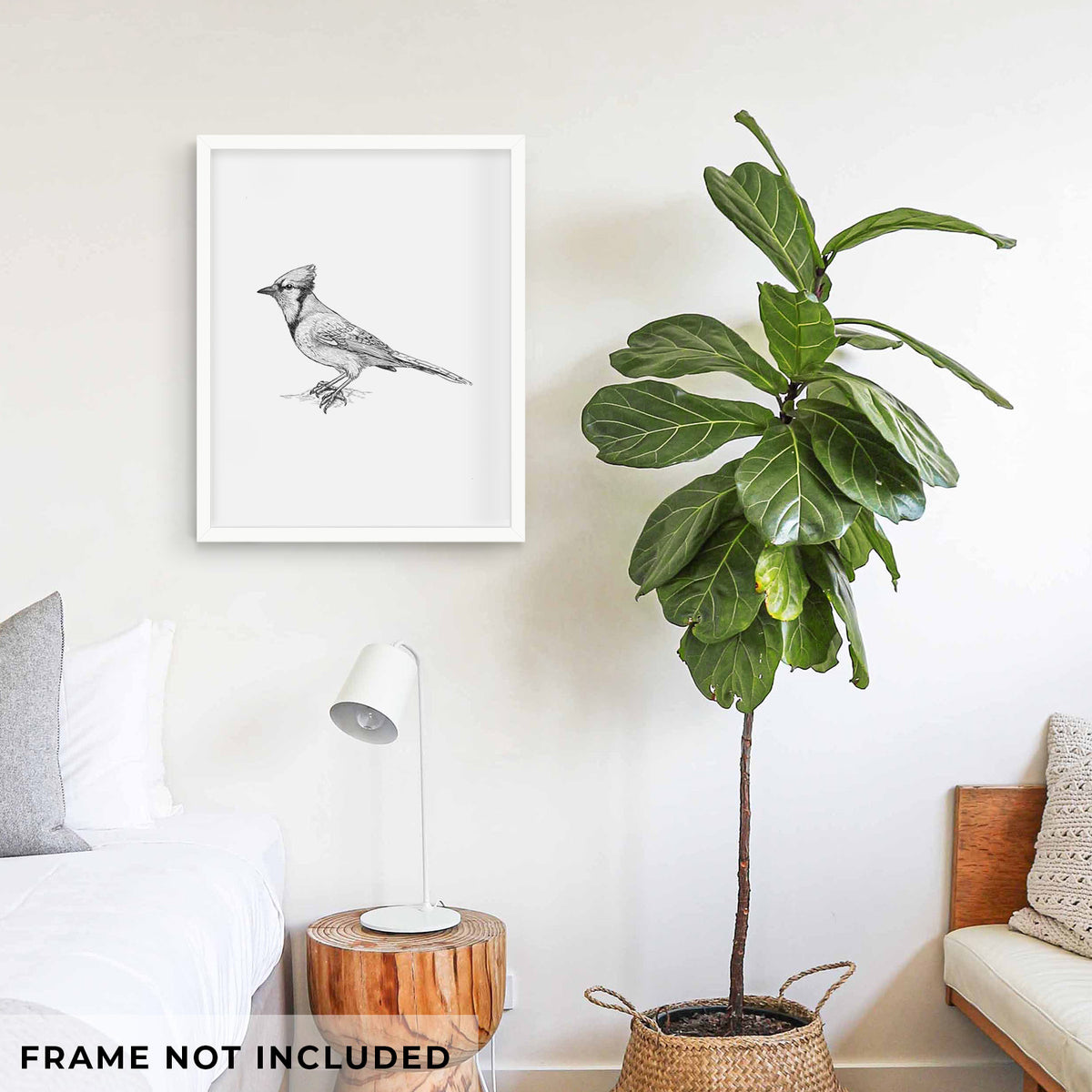 Art print of a detailed black ink sketch of a blue jay perched with its crest raised, shown framed on a living room wall beside a potted plant. Frame not included.