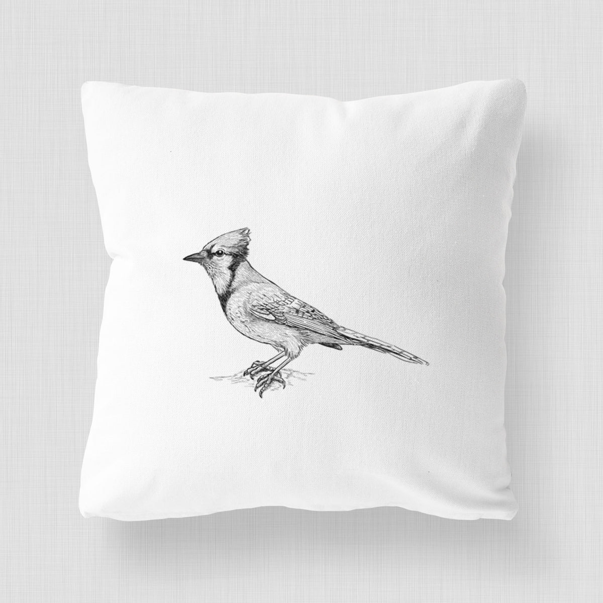 White pillow cover printed with a detailed black ink sketch of a blue jay perched with its crest raised.