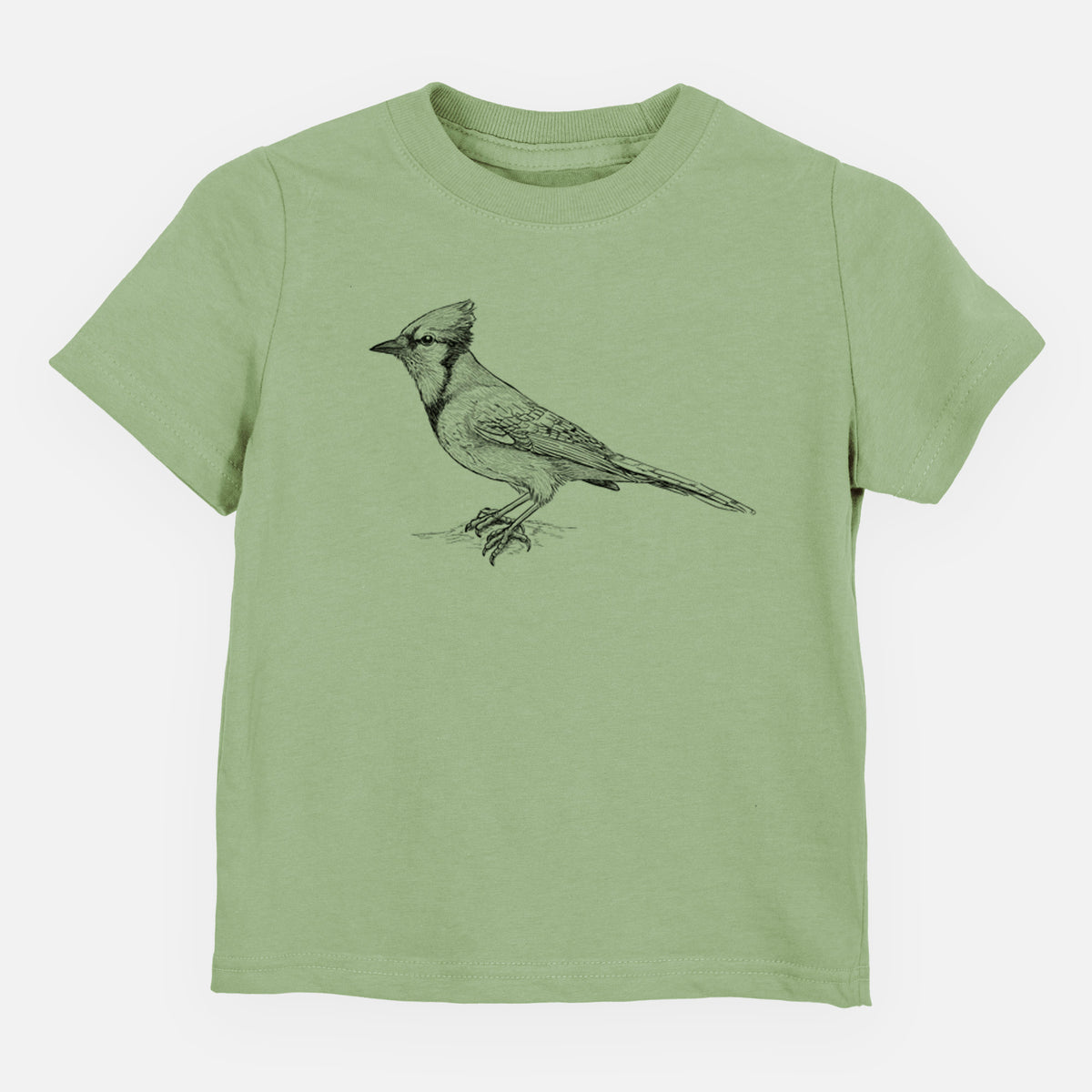 Sage green toddler t-shirt laid flat, printed with a detailed black ink sketch of a blue jay perched with its crest raised.