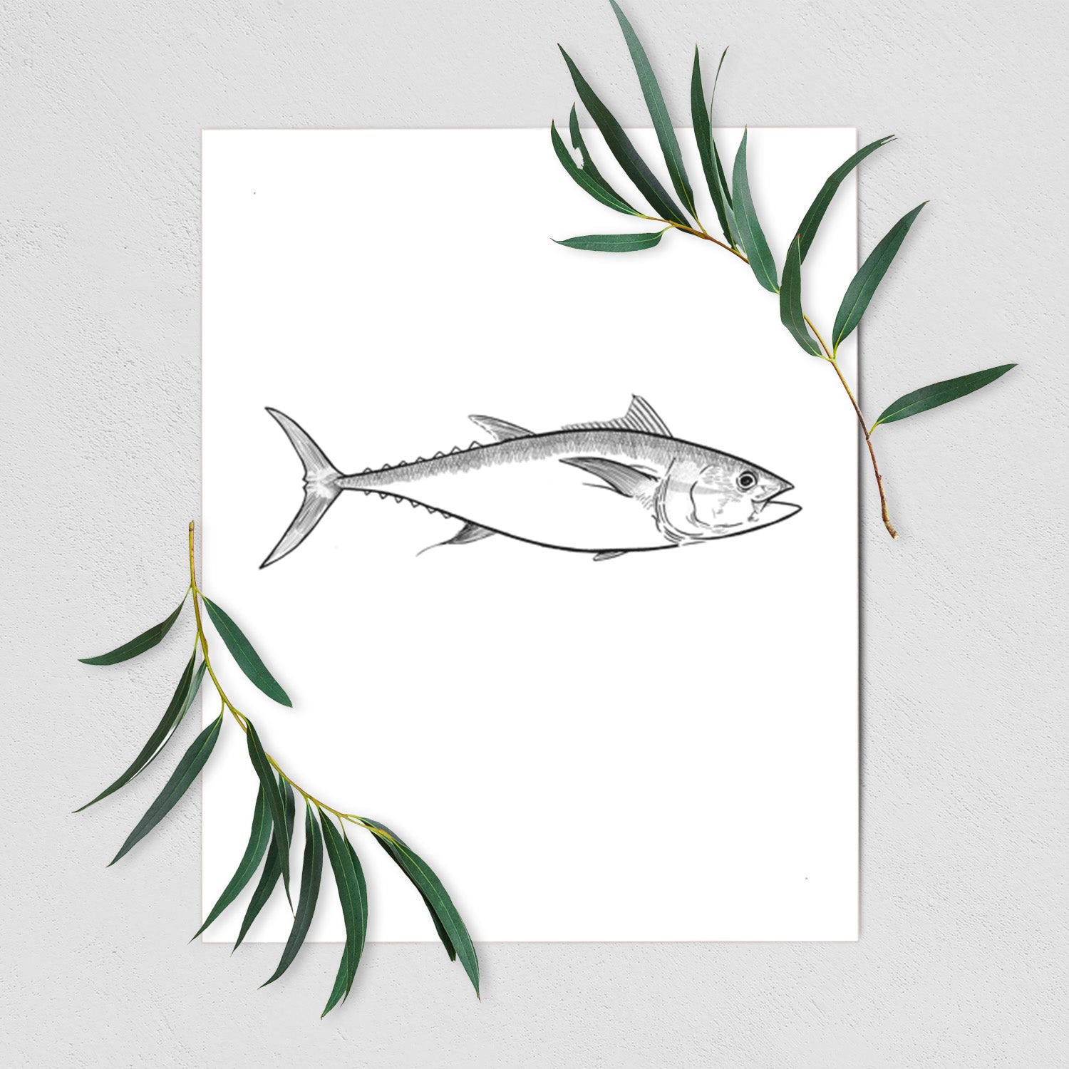 Art print of a black ink line drawing of a bluefin tuna swimming, shown with eucalyptus leaves.