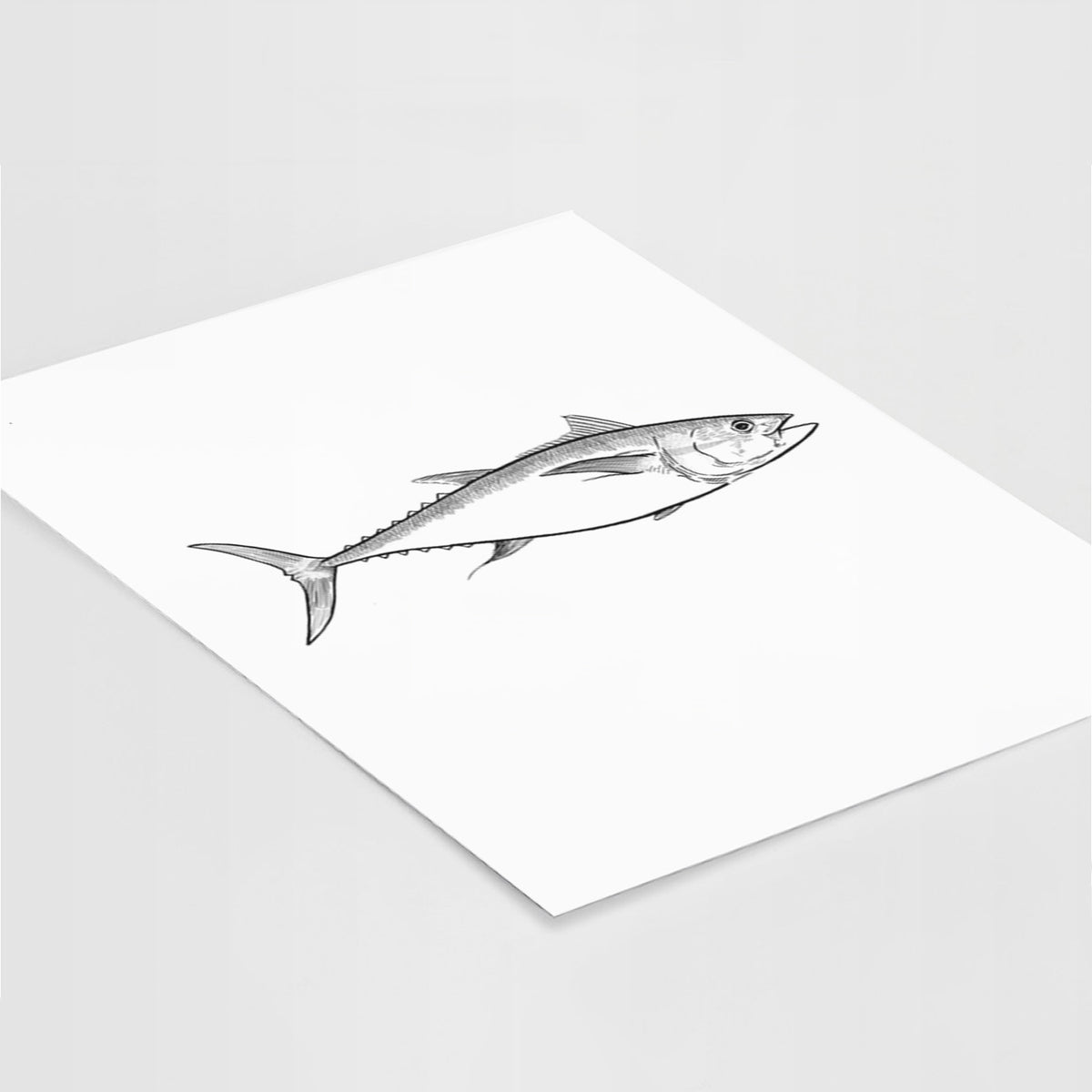 Art print of a black ink line drawing of a bluefin tuna swimming, lying at an angle on a white surface.