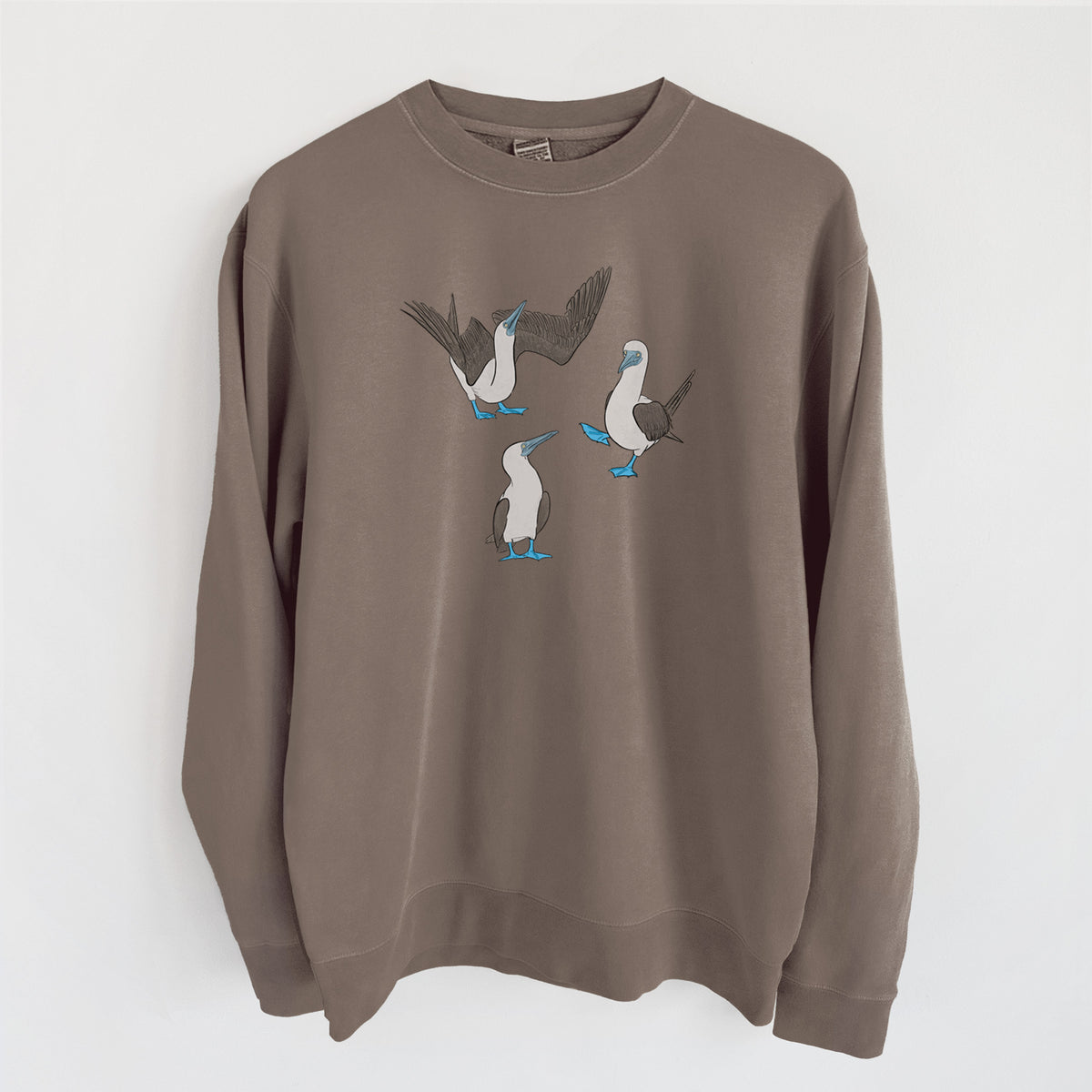 Blue-footed Booby Trio - Sula nebouxii - Unisex Pigment Dyed Crew Sweatshirt in Espresso