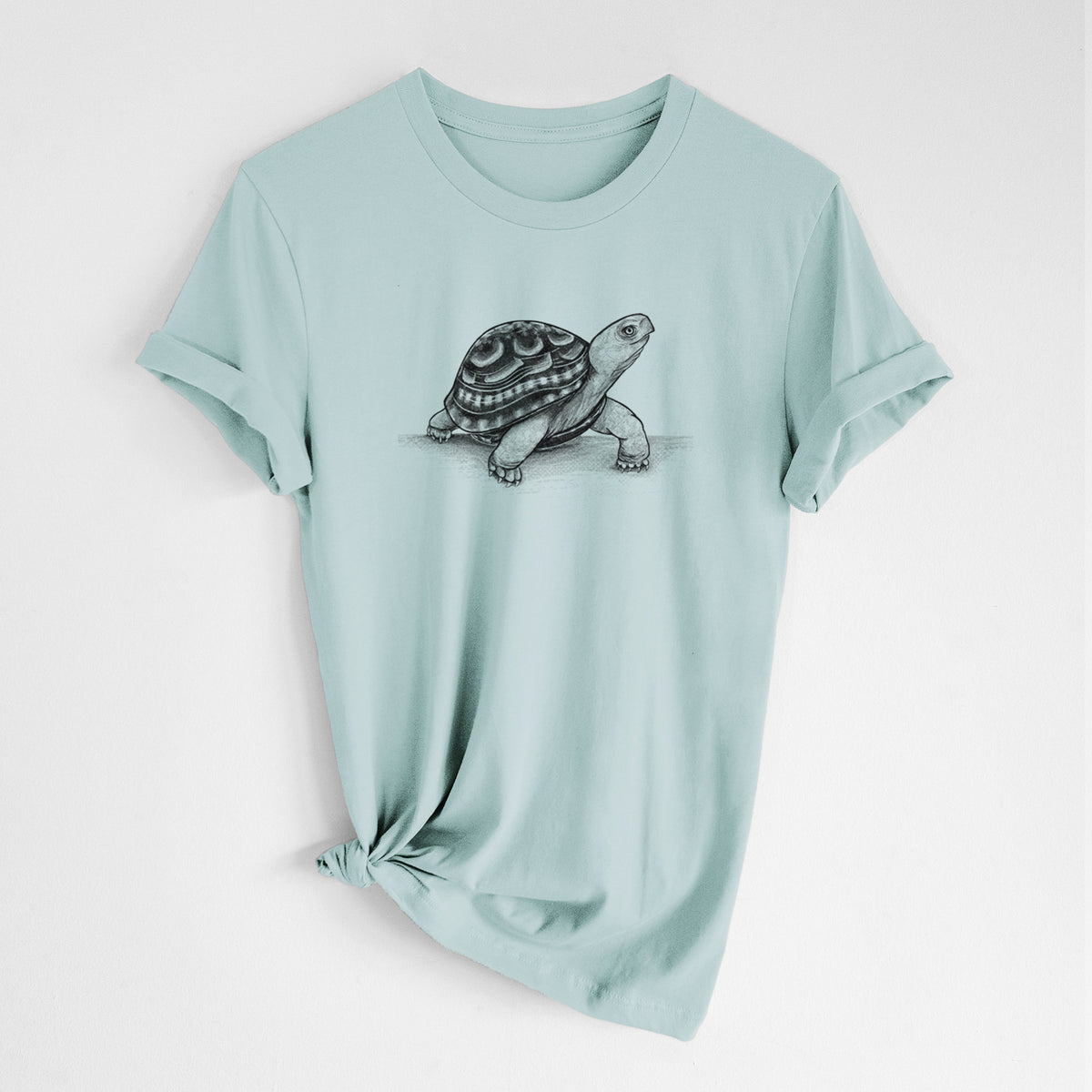 Dusty blue lightweight cotton t-shirt laid flat with the sleeves rolled, printed with a detailed black ink illustration of an eastern box turtle walking.
