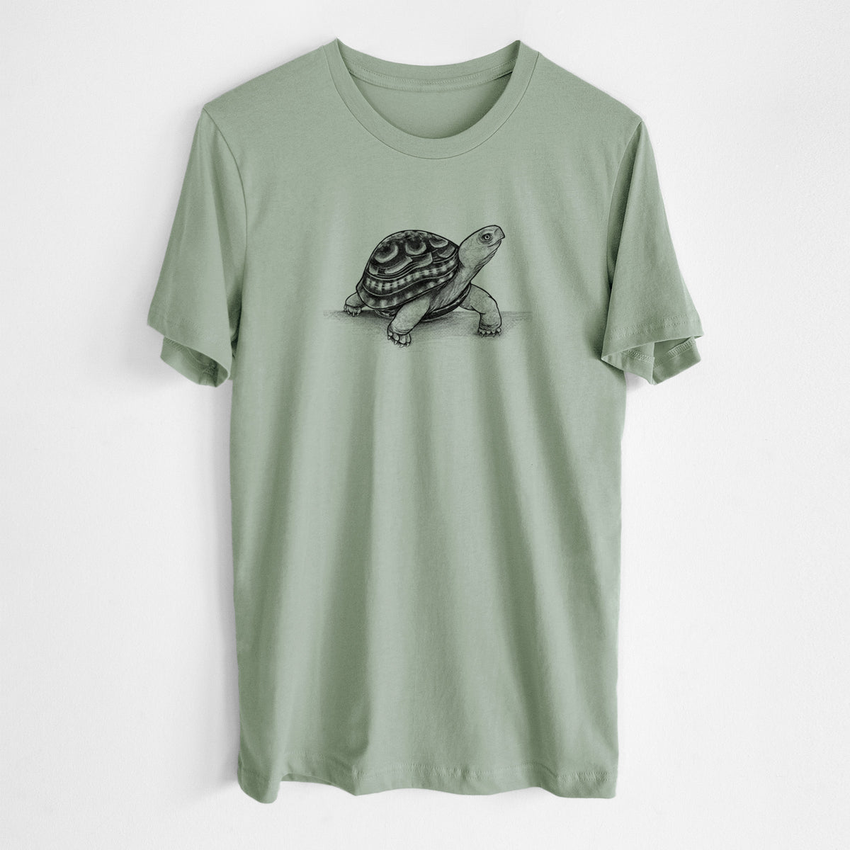 Sage green lightweight cotton t-shirt laid flat, printed with a detailed black ink illustration of an eastern box turtle walking.