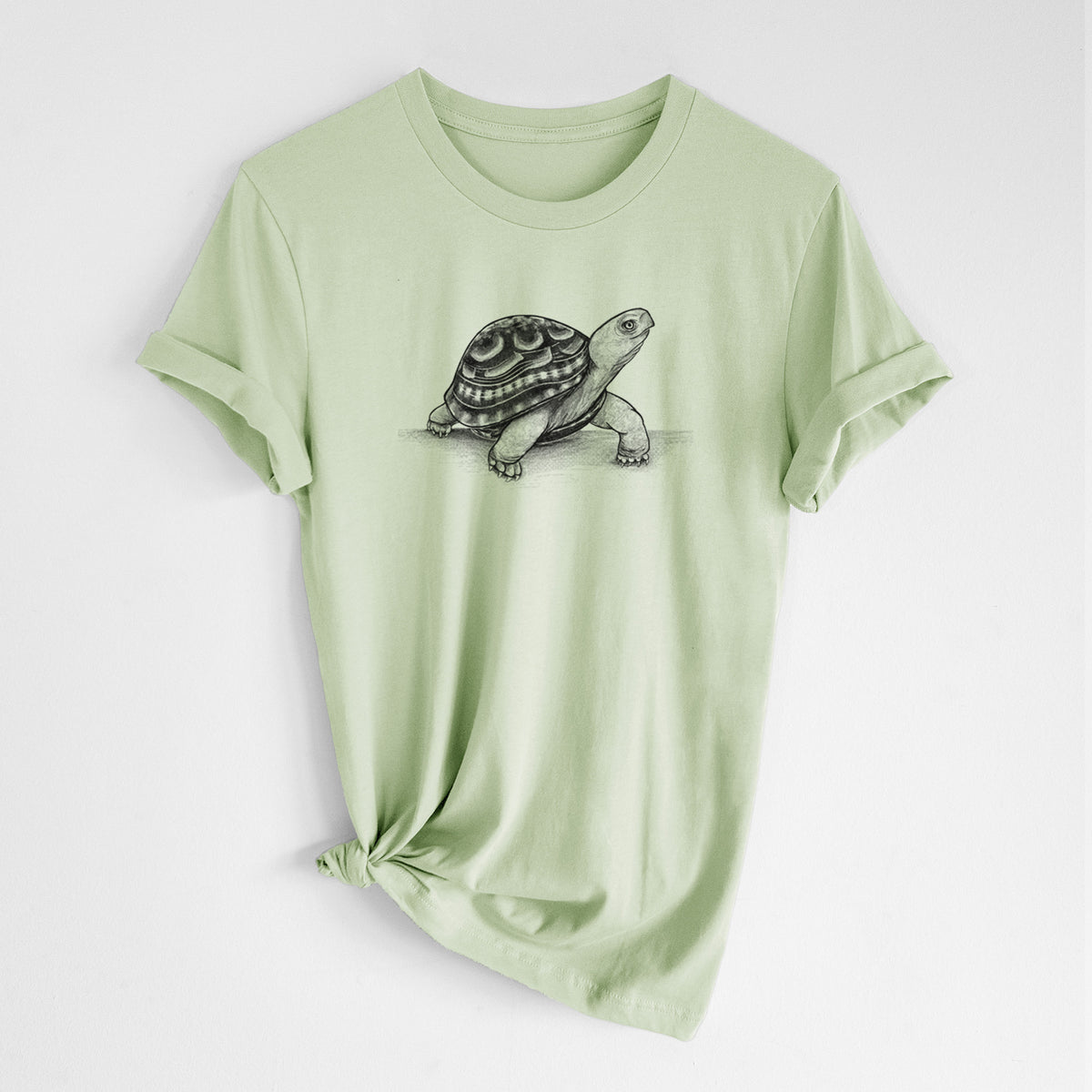 Spring green lightweight cotton t-shirt laid flat with the sleeves rolled, printed with a detailed black ink illustration of an eastern box turtle walking.