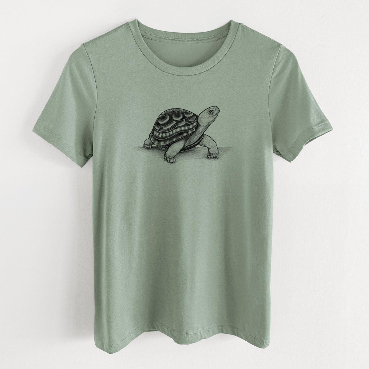 Sage green women's relaxed fit cotton t-shirt laid flat, printed with a detailed black ink illustration of an eastern box turtle walking.