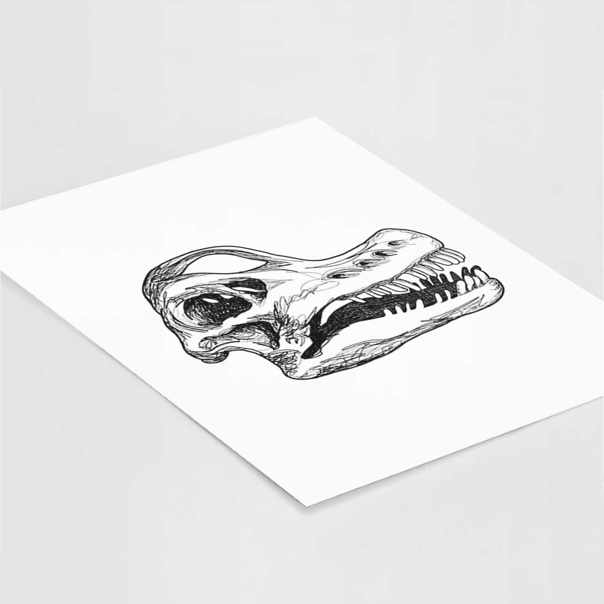 Art print of a detailed black ink illustration of a Brachiosaurus skull, lying at an angle on a white surface.
