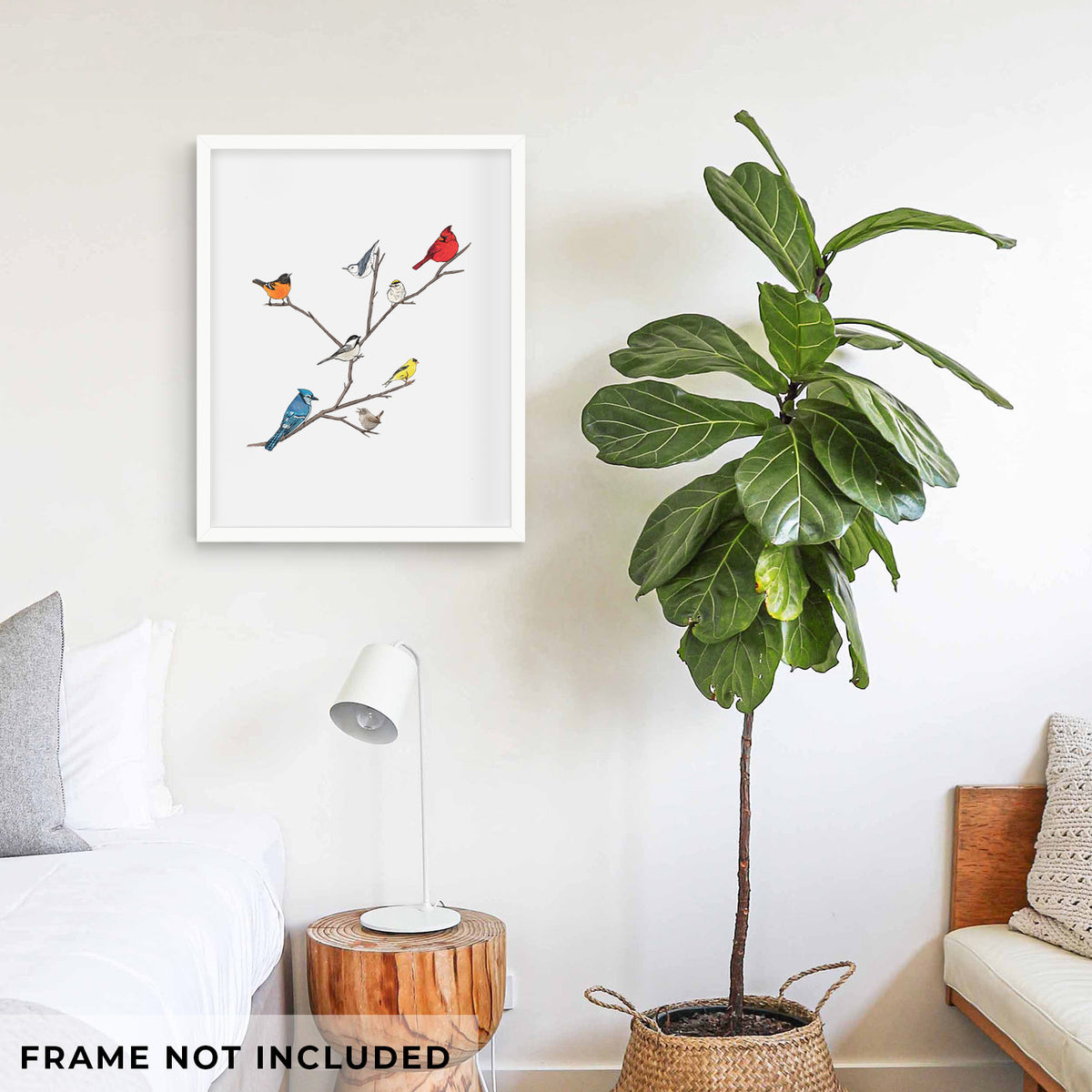 Art print of a full-color illustration of backyard birds, including a cardinal, blue jay, goldfinch and robin, perched on bare branches, shown framed on a living room wall beside a potted plant. Frame not included.