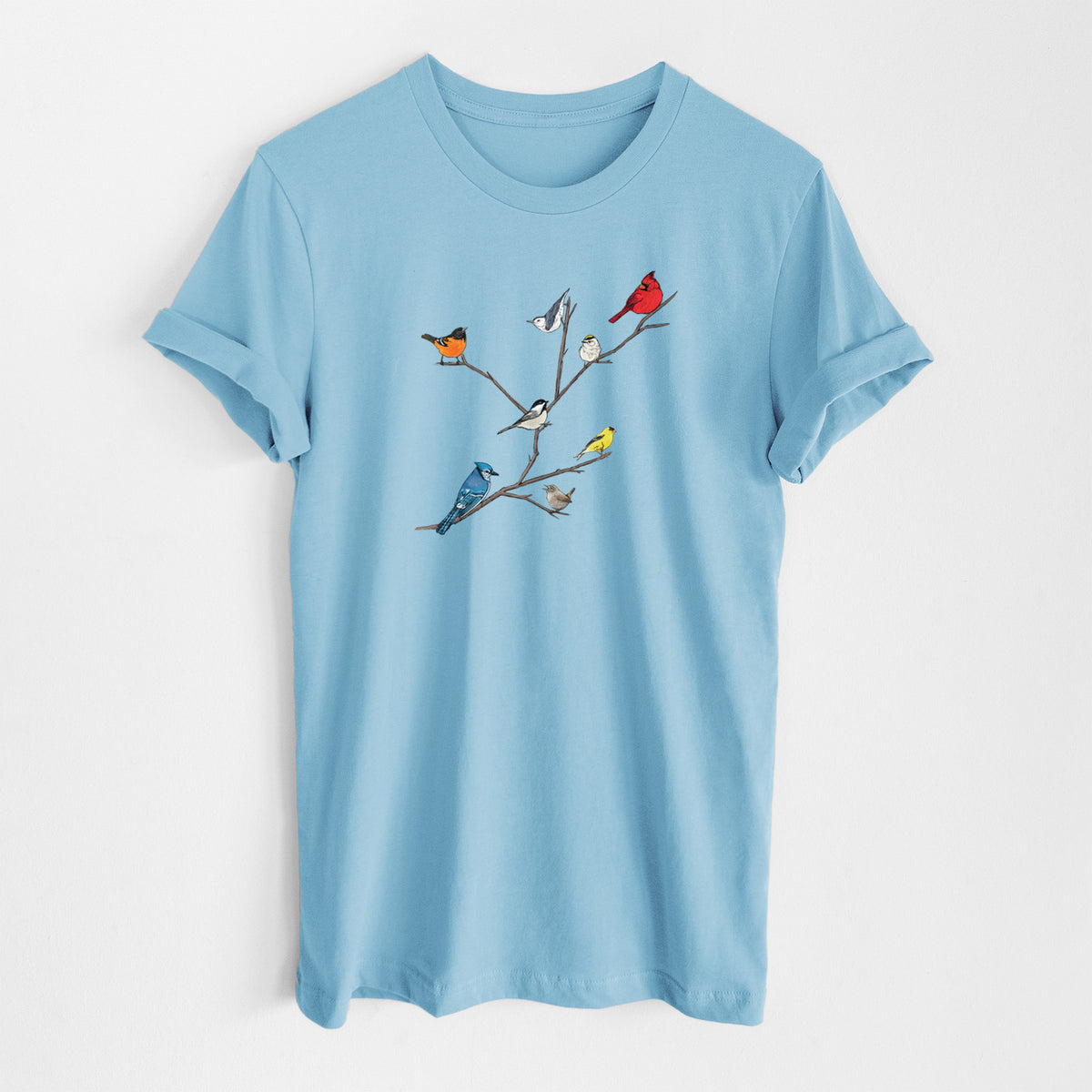 Ocean blue lightweight cotton t-shirt laid flat, printed with a full-color illustration of backyard birds, including a cardinal, blue jay, goldfinch and robin, perched on bare branches.