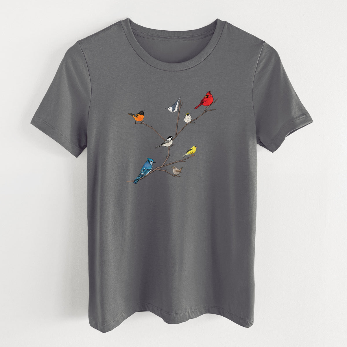 Asphalt women's relaxed fit cotton t-shirt laid flat, printed with a full-color illustration of backyard birds, including a cardinal, blue jay, goldfinch and robin, perched on bare branches.