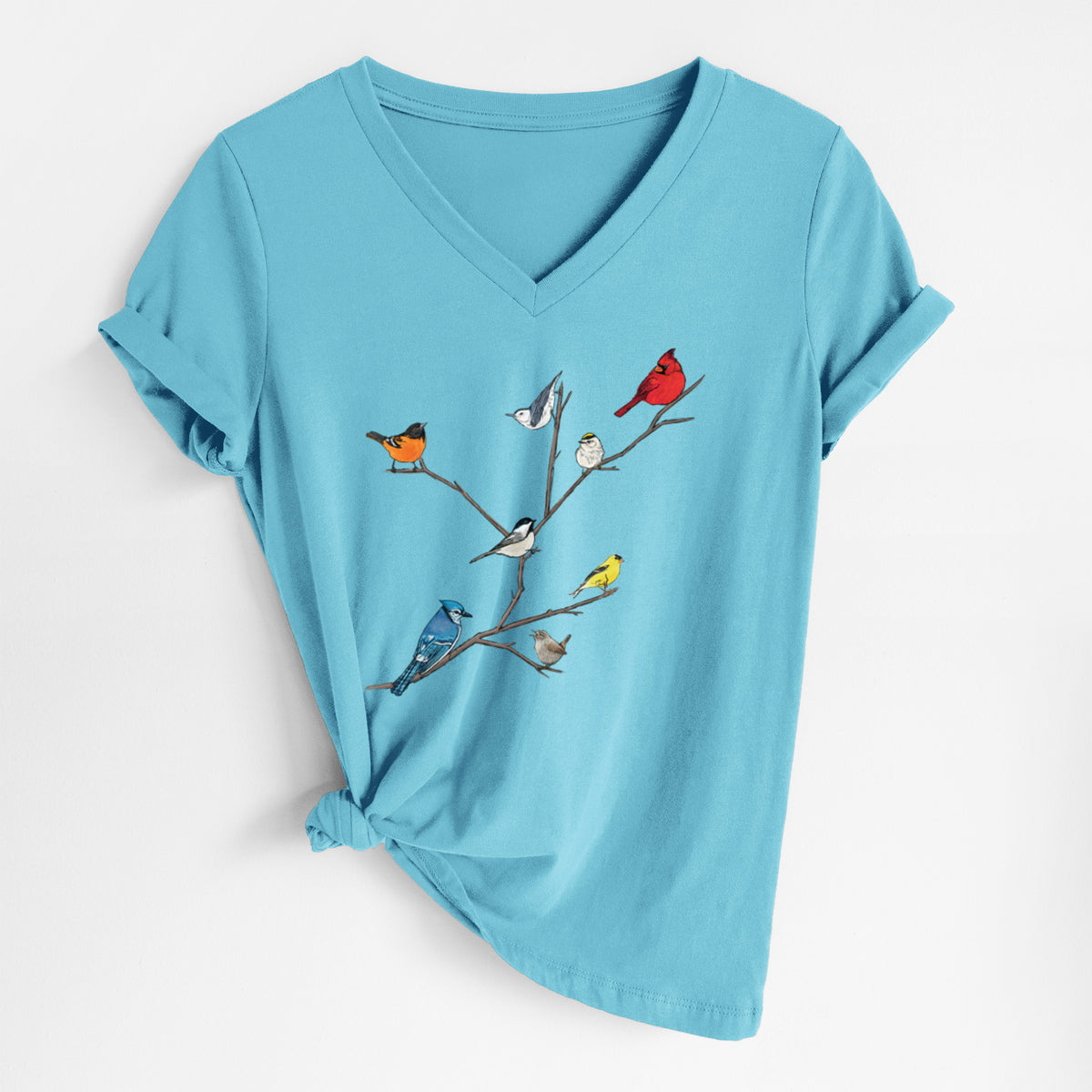 Turquoise women's relaxed fit cotton V-neck t-shirt laid flat, printed with a full-color illustration of backyard birds, including a cardinal, blue jay, goldfinch and robin, perched on bare branches.