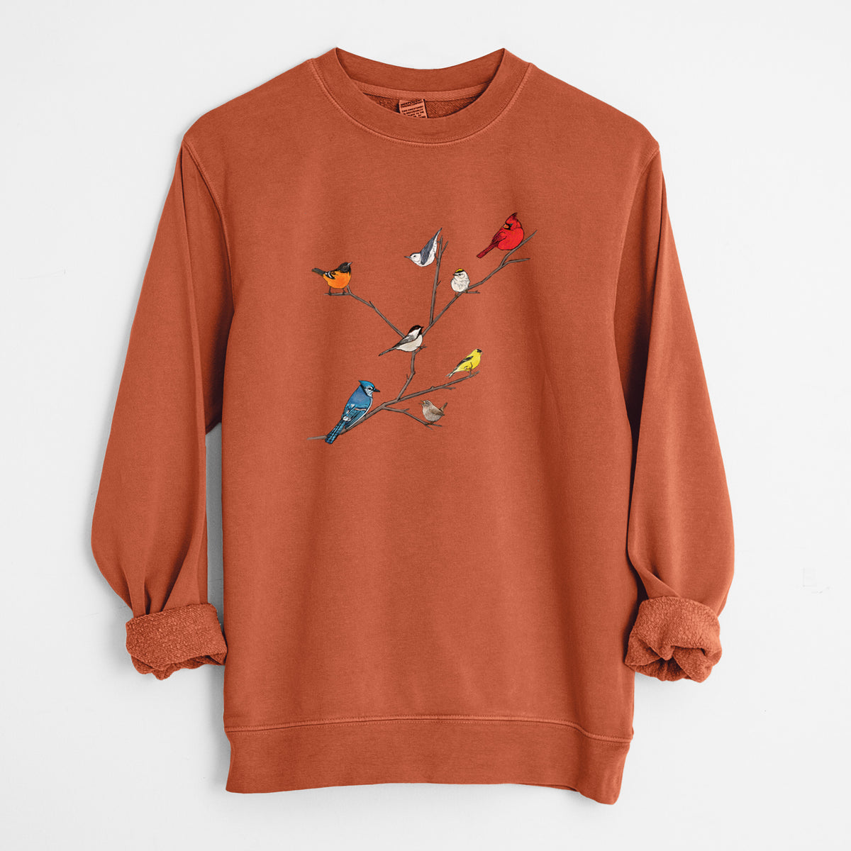 Backyard Birds Gathering - Unisex Pigment Dyed Crew Sweatshirt in Amber