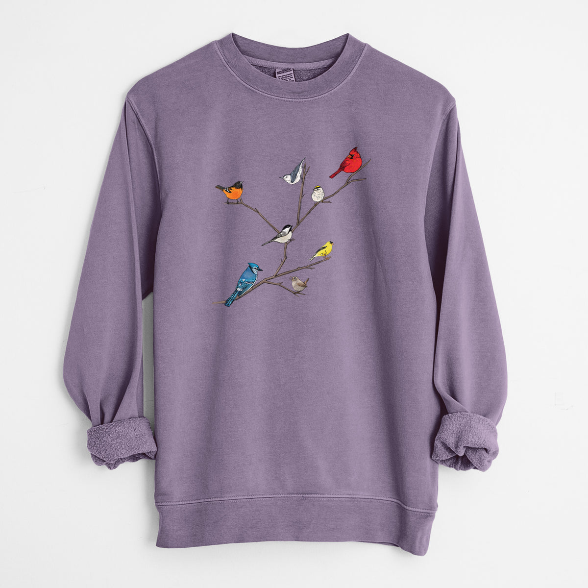 Backyard Birds Gathering - Unisex Pigment Dyed Crew Sweatshirt in Plum