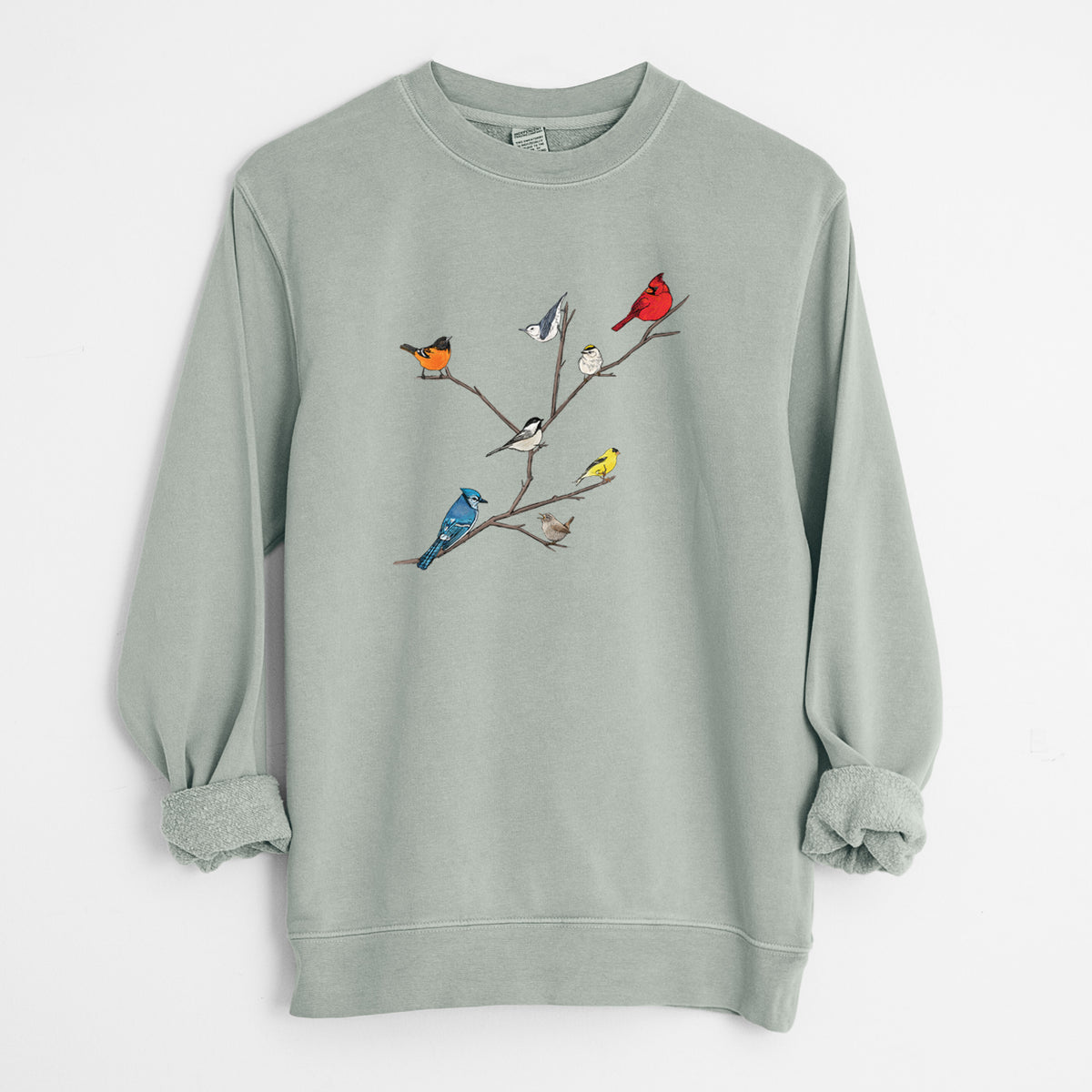 Backyard Birds Gathering - Unisex Pigment Dyed Crew Sweatshirt in Sage