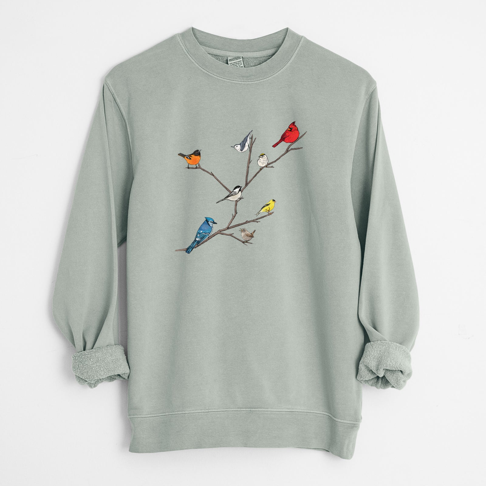Backyard Birds Gathering - Unisex Pigment Dyed Crew Sweatshirt in Sage