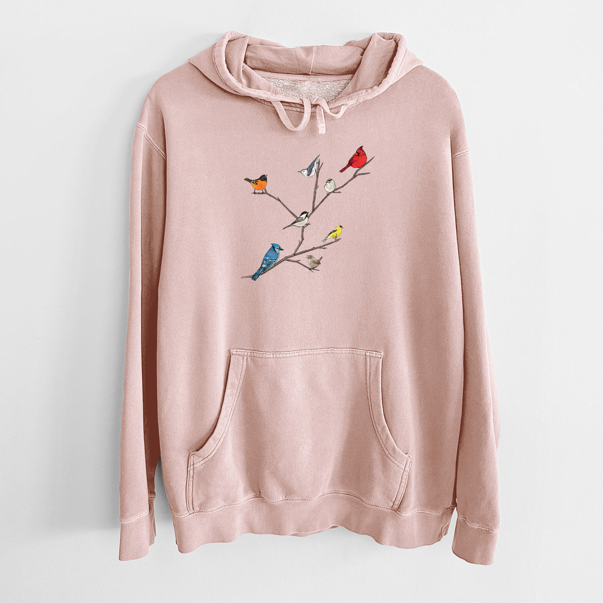 Dusty pink pigment dyed hoodie laid flat, printed with a full-color illustration of backyard birds, including a cardinal, blue jay, goldfinch and robin, perched on bare branches.
