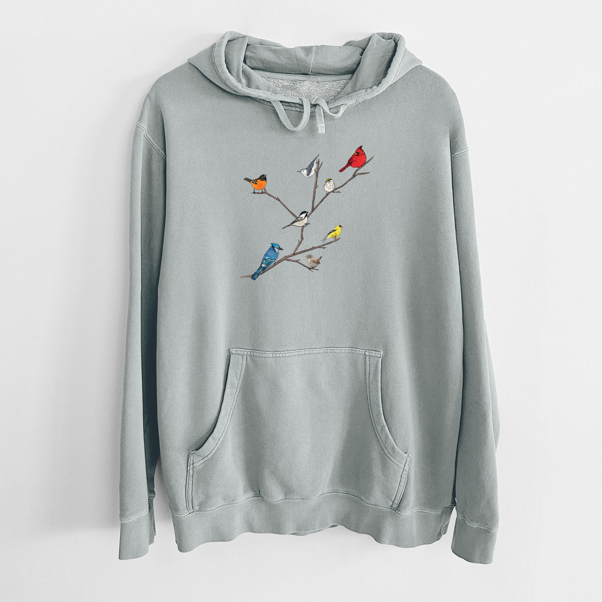 Sage green pigment dyed hoodie laid flat, printed with a full-color illustration of backyard birds, including a cardinal, blue jay, goldfinch and robin, perched on bare branches.