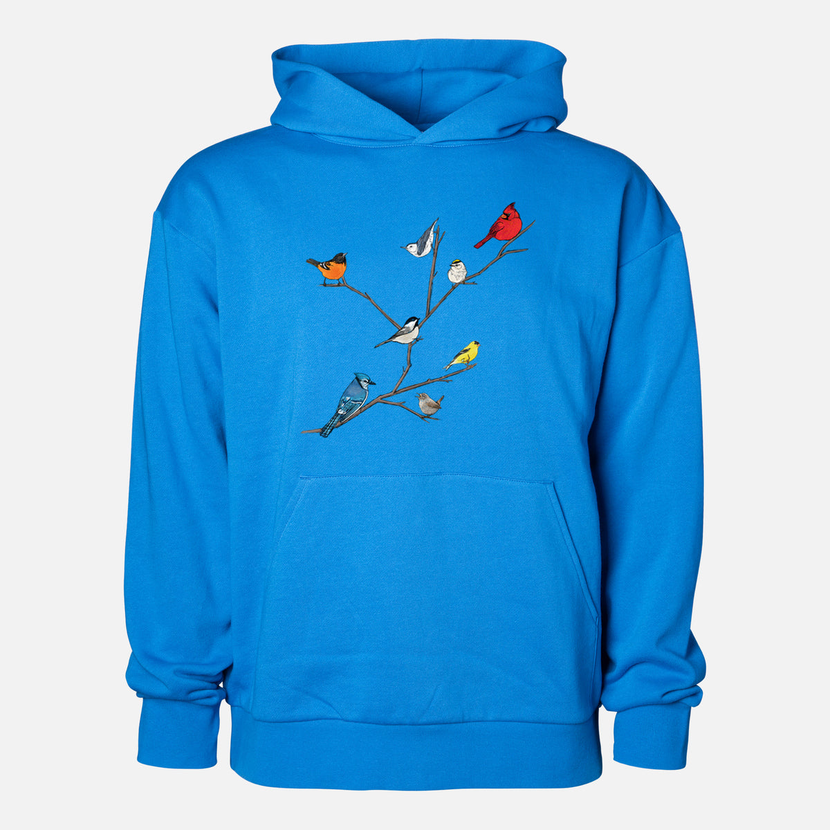 Backyard Birds Gathering - Statement Midweight Hoodie in Azure Blue, shown from the front with the design printed on the chest above a front kangaroo pocket.