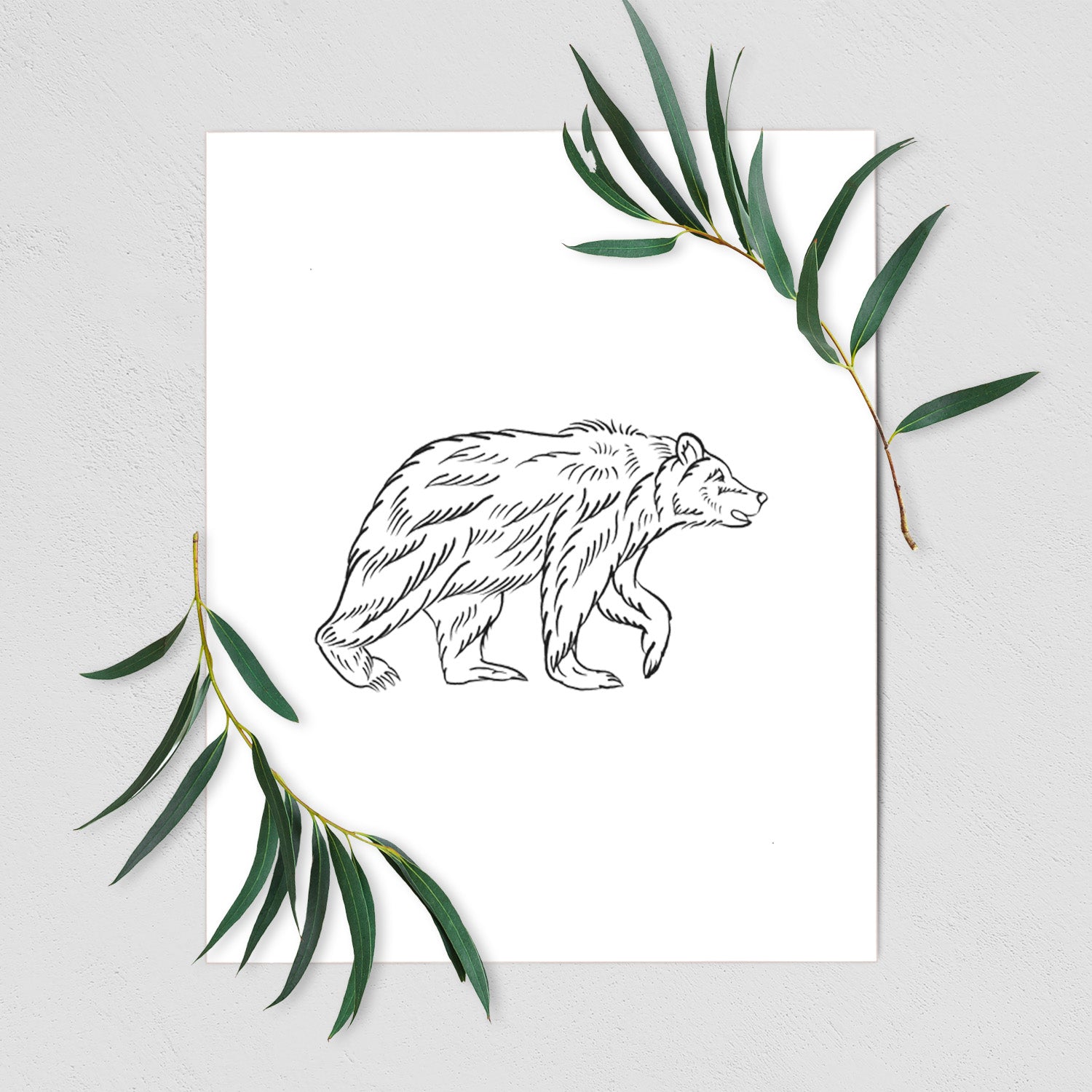 Art print of a black ink illustration of a brown bear walking, shown with eucalyptus leaves.