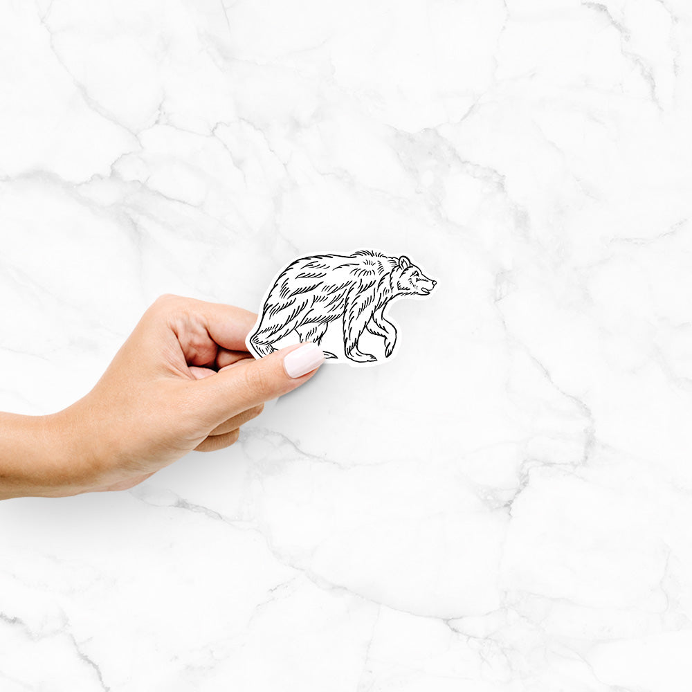 Hand holding a 4 inch vinyl decal of a black ink illustration of a brown bear walking.