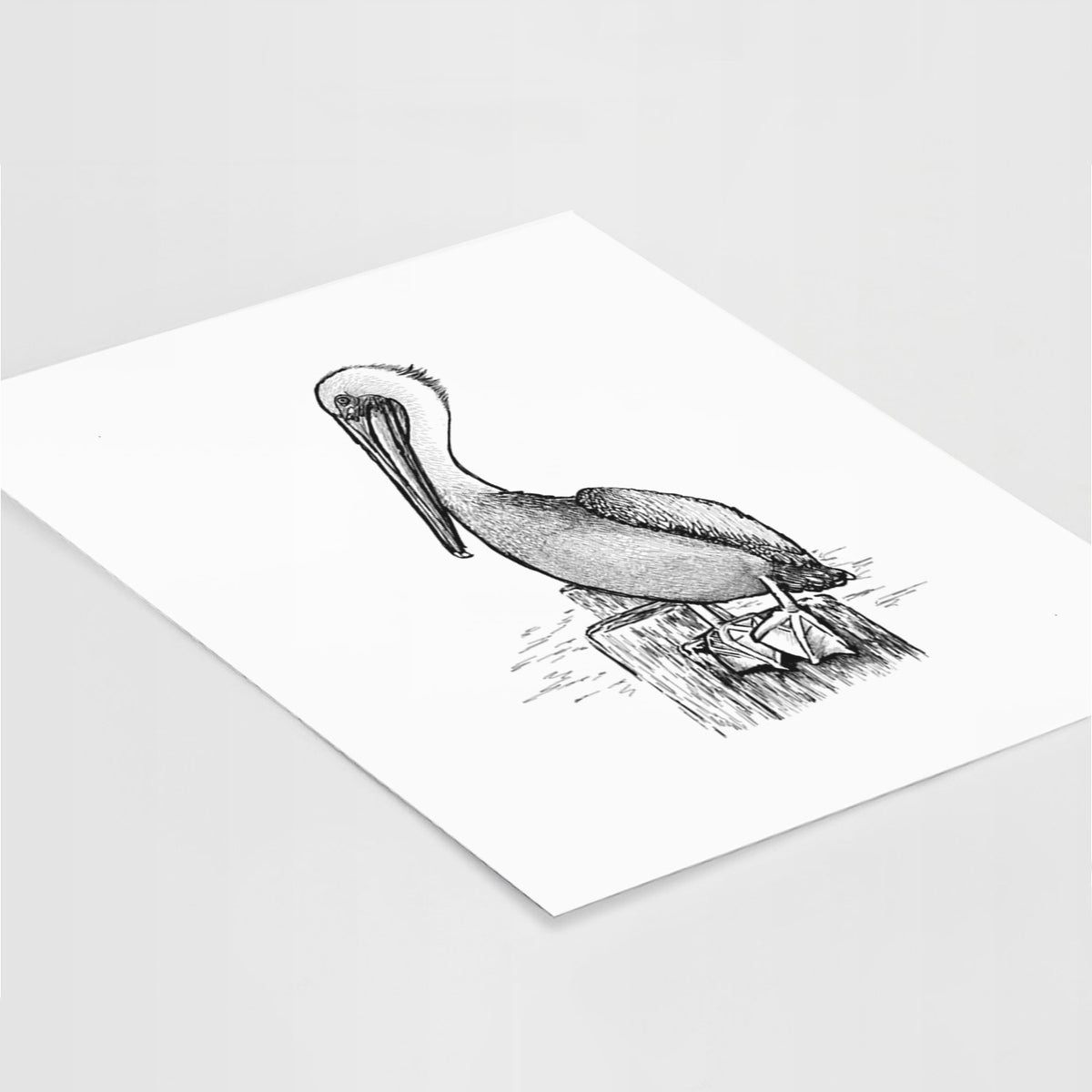 Art print of a detailed black ink illustration of a brown pelican perched on a wooden piling, lying at an angle on a white surface.