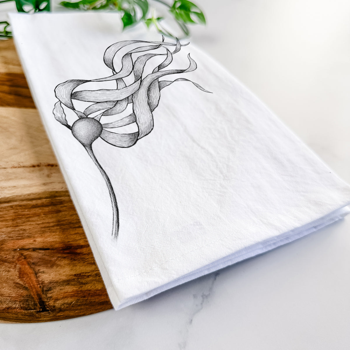 Close-up of a folded white tea towel on a wooden board, showing a black ink line drawing of a strand of bull kelp with long flowing blades.