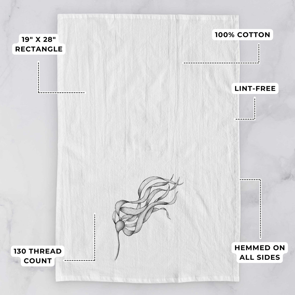 White tea towel printed with a black ink line drawing of a strand of bull kelp with long flowing blades, with feature labels: 19 by 28 inch rectangle, 100% cotton, lint-free, 130 thread count, hemmed on all sides.