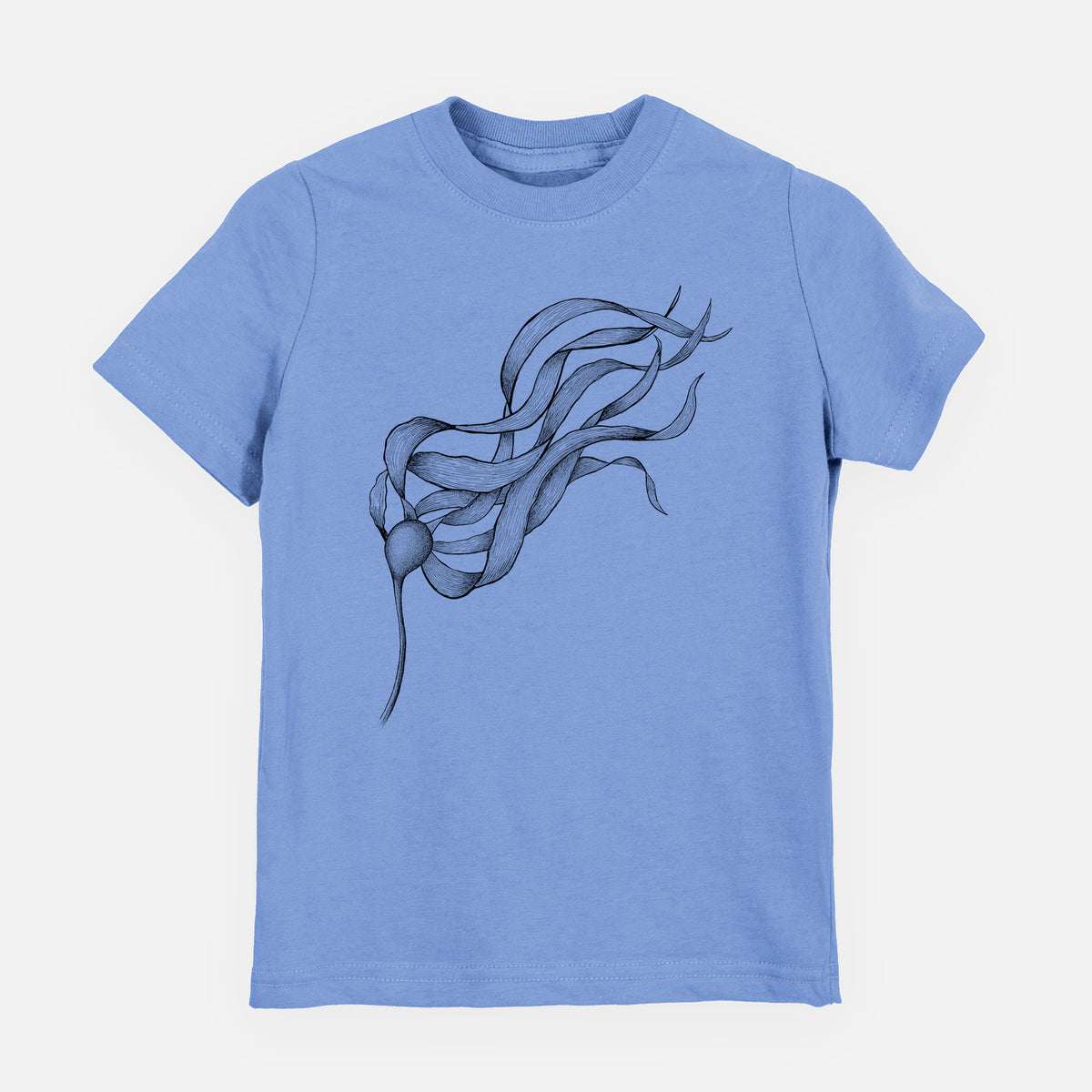 Carolina blue youth t-shirt laid flat, printed with a black ink line drawing of a strand of bull kelp with long flowing blades.