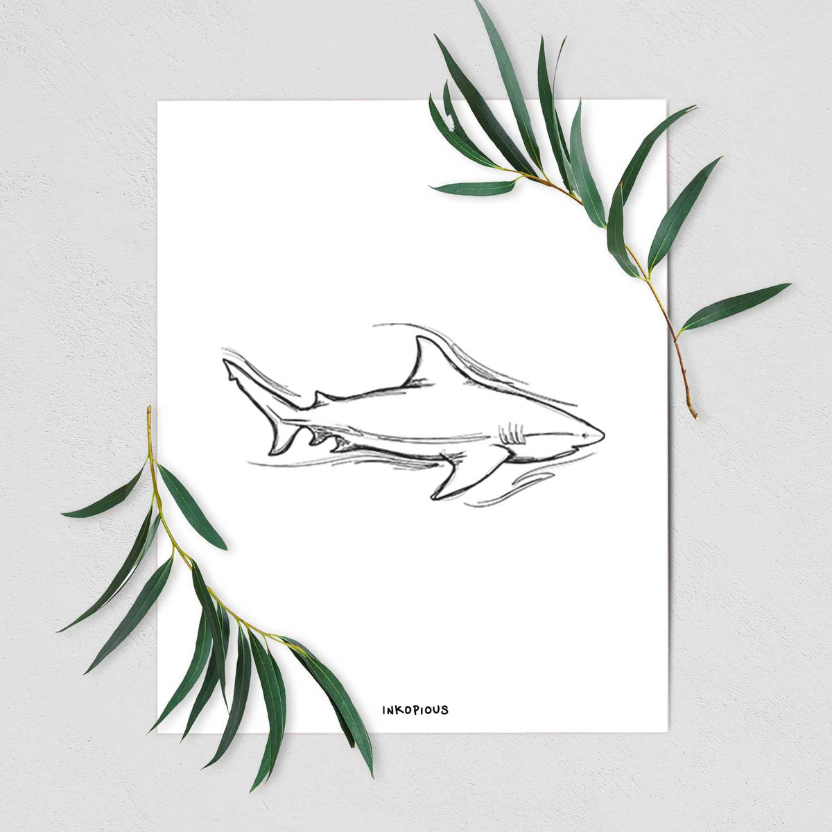 Art print of a black ink illustration of a bull shark swimming, shown with eucalyptus leaves.