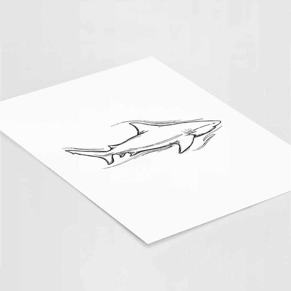 Art print of a black ink illustration of a bull shark swimming, lying at an angle on a white surface.