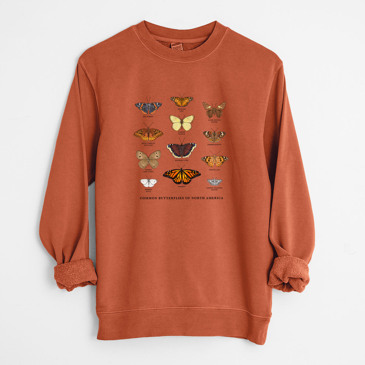 Amber orange pigment dyed crewneck sweatshirt laid flat with the sleeves rolled, printed with a full-color chart of common butterflies of North America, each labeled with its species.