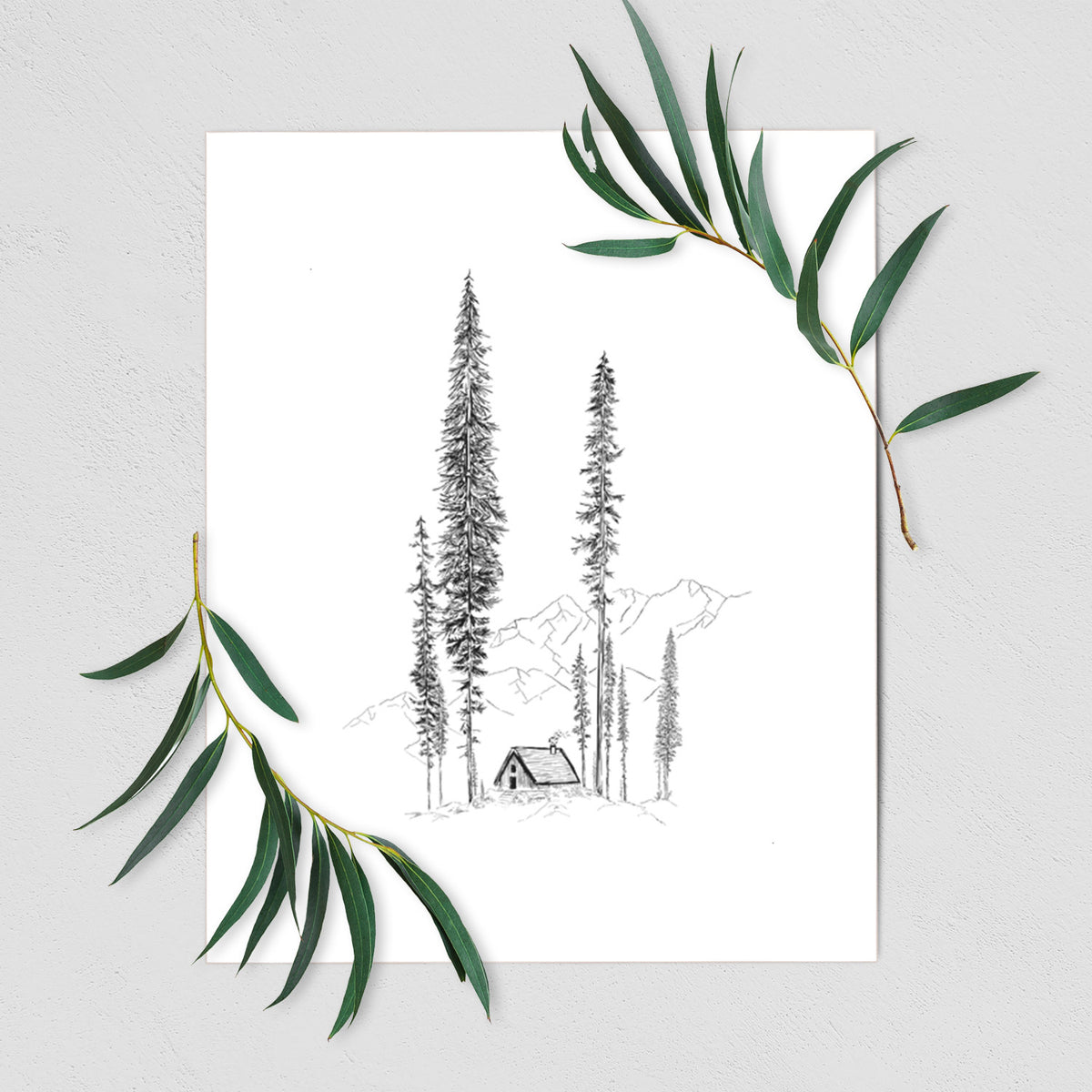 Art print of a black ink illustration of a small cabin nestled beneath towering pine trees, shown with eucalyptus leaves.