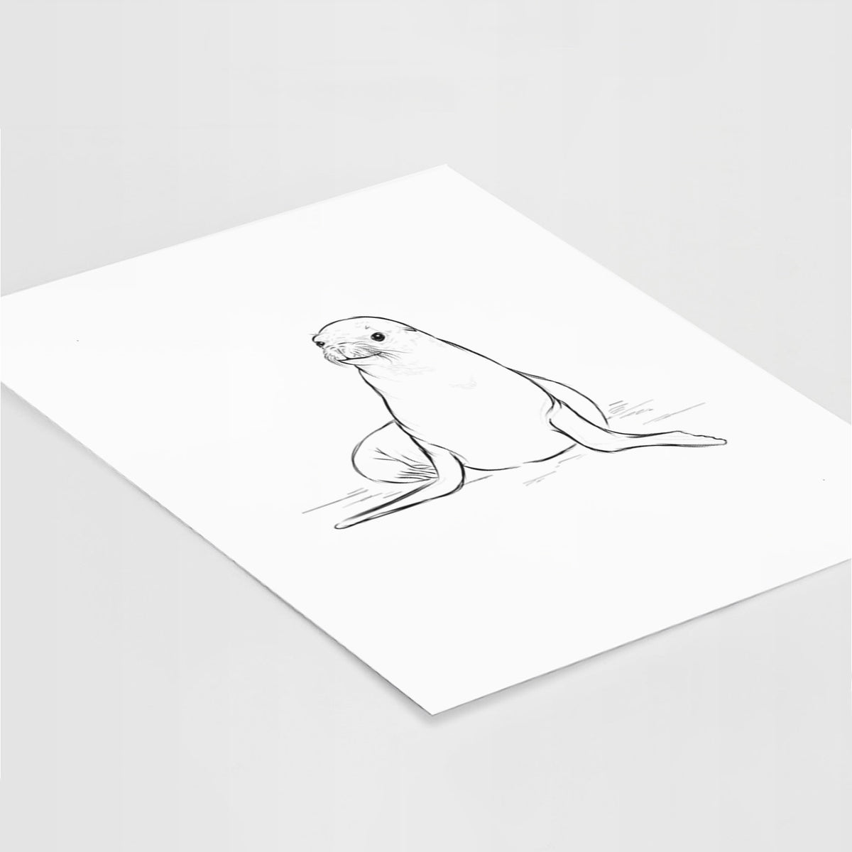 Art print of a black ink illustration of a California sea lion sitting upright, lying at an angle on a white surface.