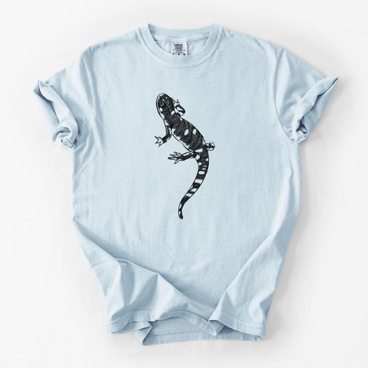 Chambray blue Comfort Colors t-shirt laid flat, printed with a detailed black ink illustration of a spotted California tiger salamander.