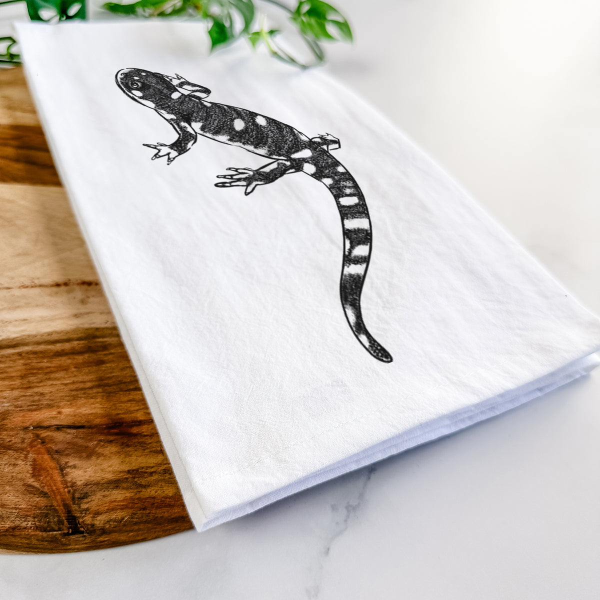 Close-up of a folded white tea towel on a wooden board, showing a detailed black ink illustration of a spotted California tiger salamander.