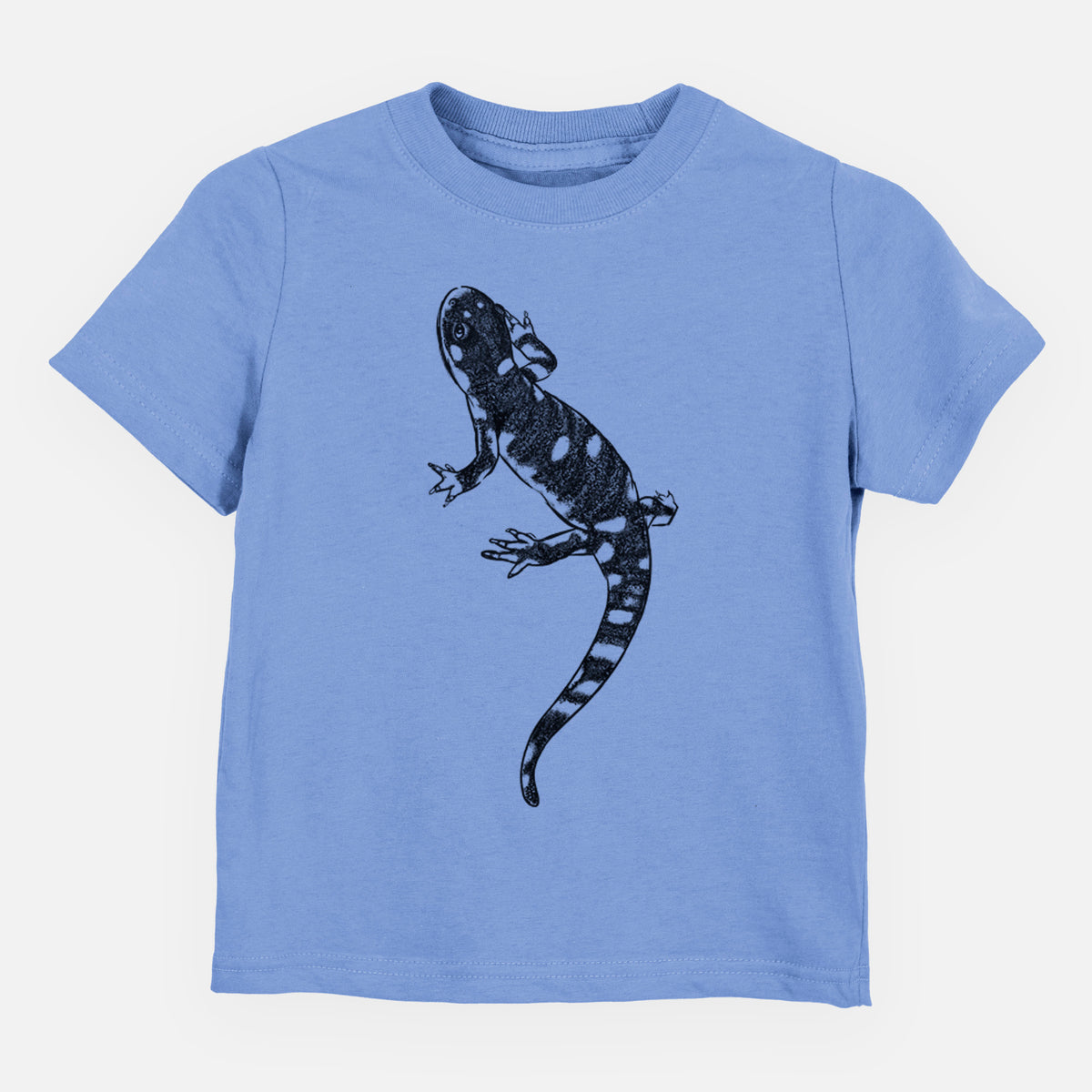 Carolina blue toddler t-shirt laid flat, printed with a detailed black ink illustration of a spotted California tiger salamander.