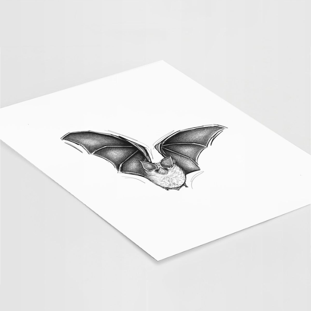 Art print of a detailed black ink illustration of a California leaf-nosed bat in flight, lying at an angle on a white surface.
