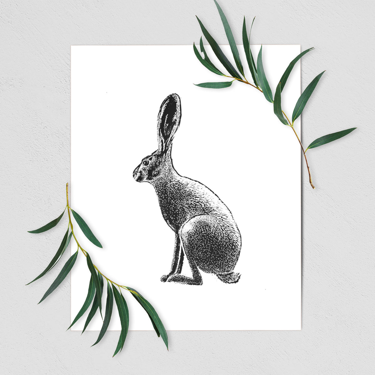 Art print of a detailed black ink illustration of a black-tailed jackrabbit sitting in profile with tall ears, shown with eucalyptus leaves.