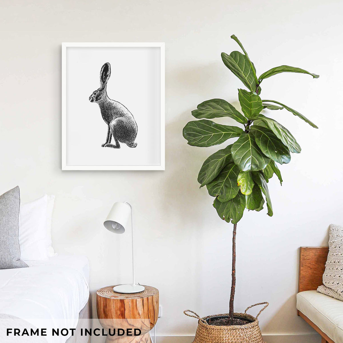 Art print of a detailed black ink illustration of a black-tailed jackrabbit sitting in profile with tall ears, shown framed on a living room wall beside a potted plant. Frame not included.