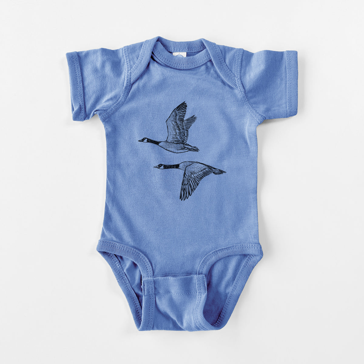 Canada Geese in Flight - Branta canadensis - Baby Fine Jersey Bodysuit in Carolina Blue