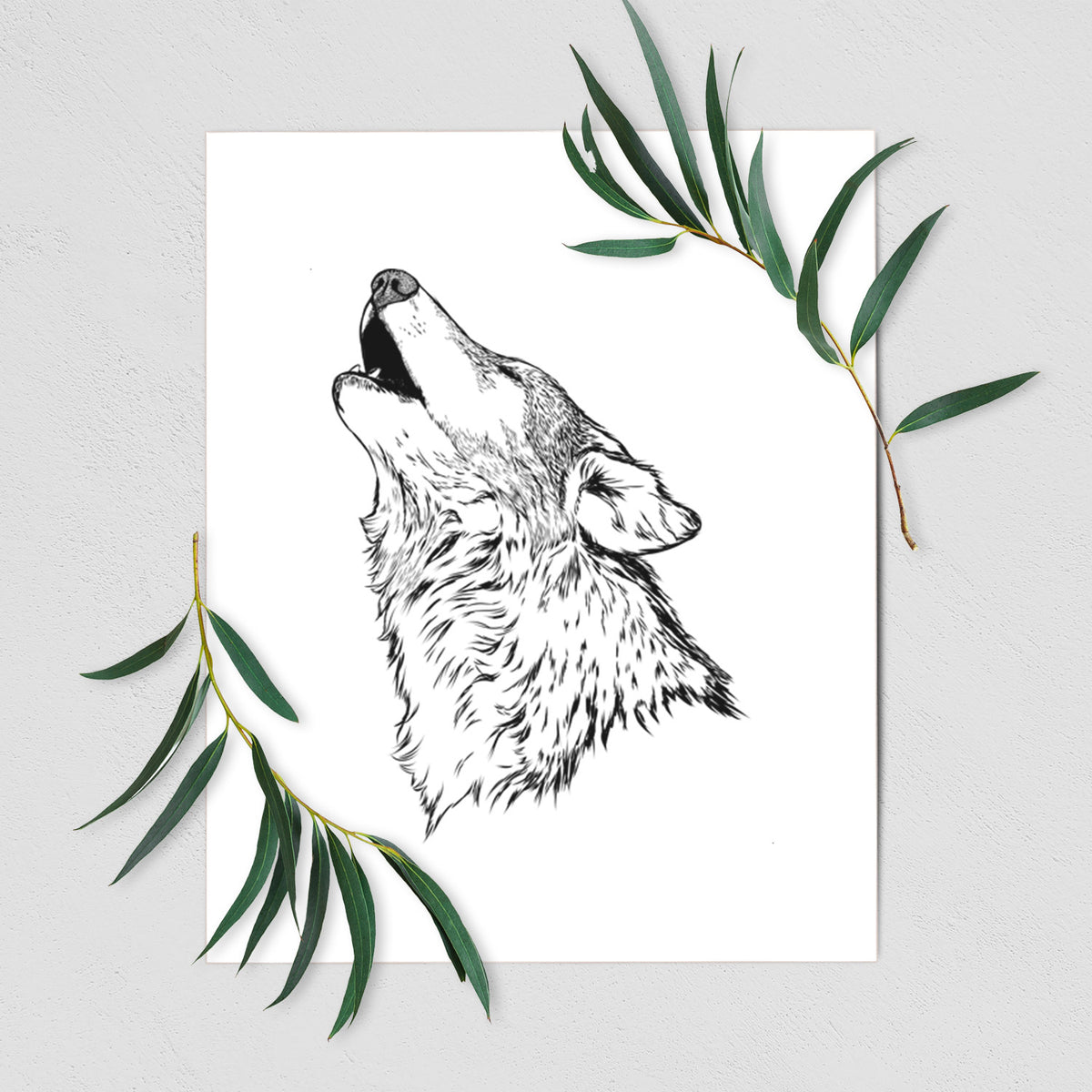 Art print of a detailed black ink illustration of a grey wolf's head and shoulders, howling upward, shown with eucalyptus leaves.