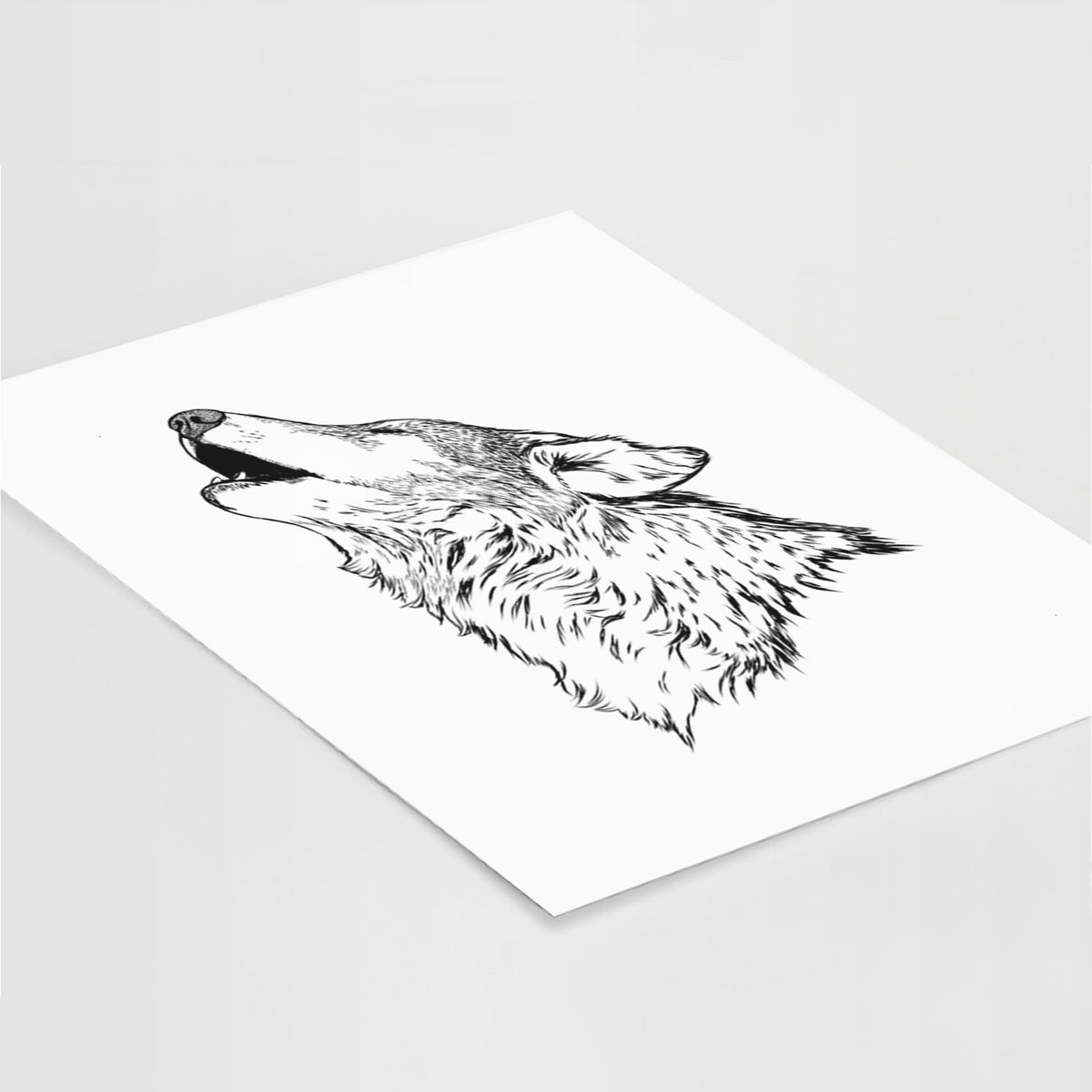 Art print of a detailed black ink illustration of a grey wolf's head and shoulders, howling upward, lying at an angle on a white surface.